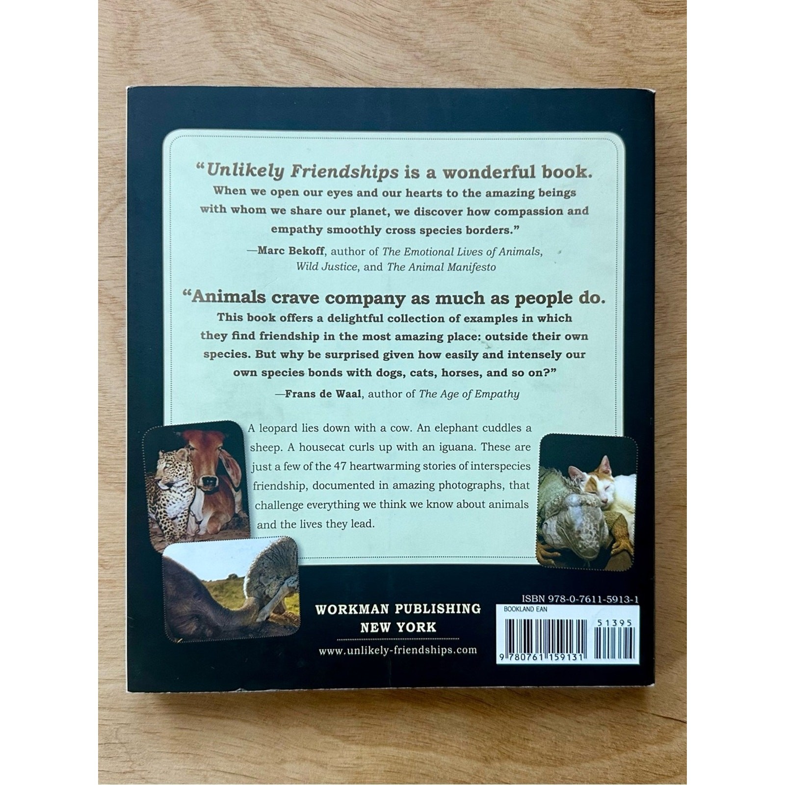 Unlikely Friendships Jennifer S Holland Paperback Animal Stories Book
