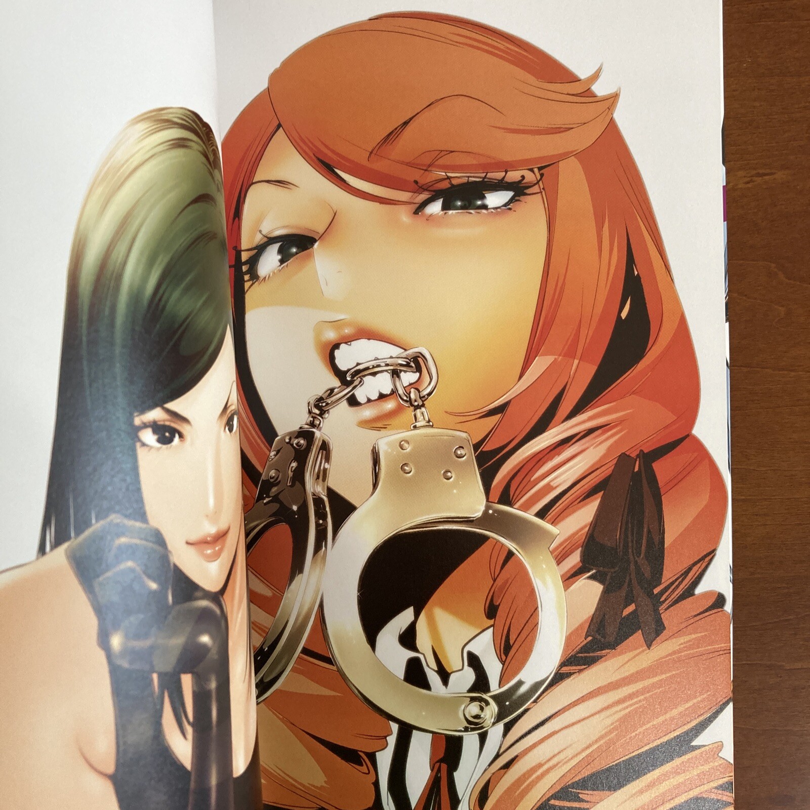 Akira Hiramoto Art Book GAMPUKU Prison School Manga Anime Illustration Design