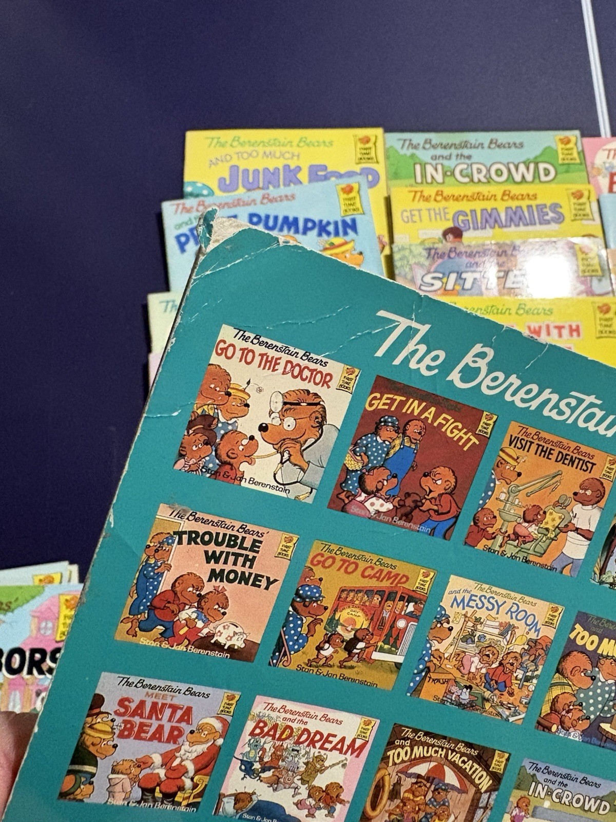 25 Berenstain Bears Books Mostly First Time by Jan Stan & Mike Berenstain No Dup