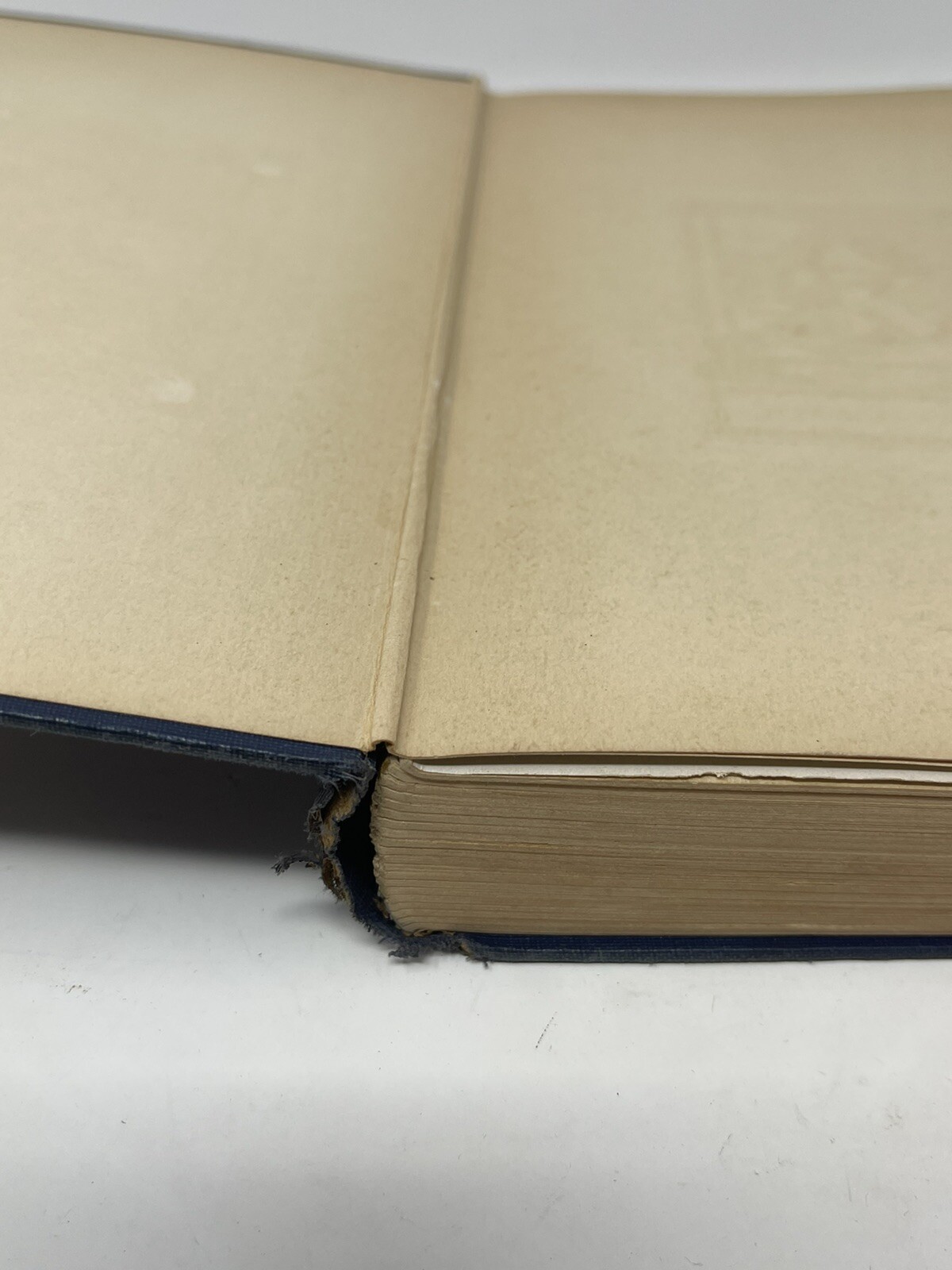 I Was Hitler’s Prisoner A Diary By Stefan Lorant Hardcover Putnam 1935