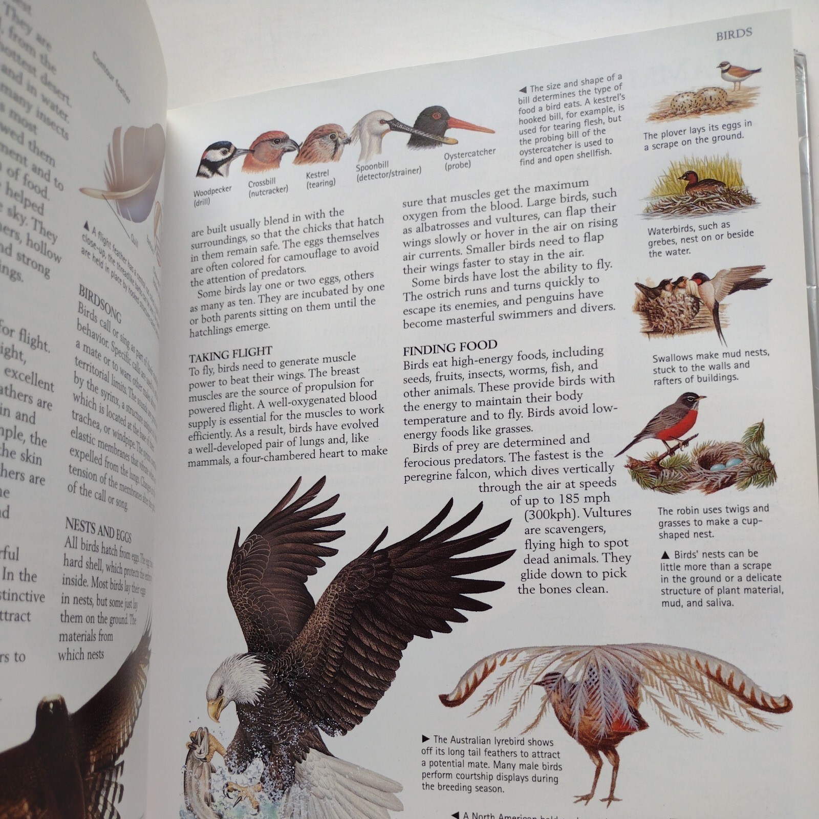 The Kingfisher Science Encyclopedia by Charles Taylor -2000 -Hardcover -Revised