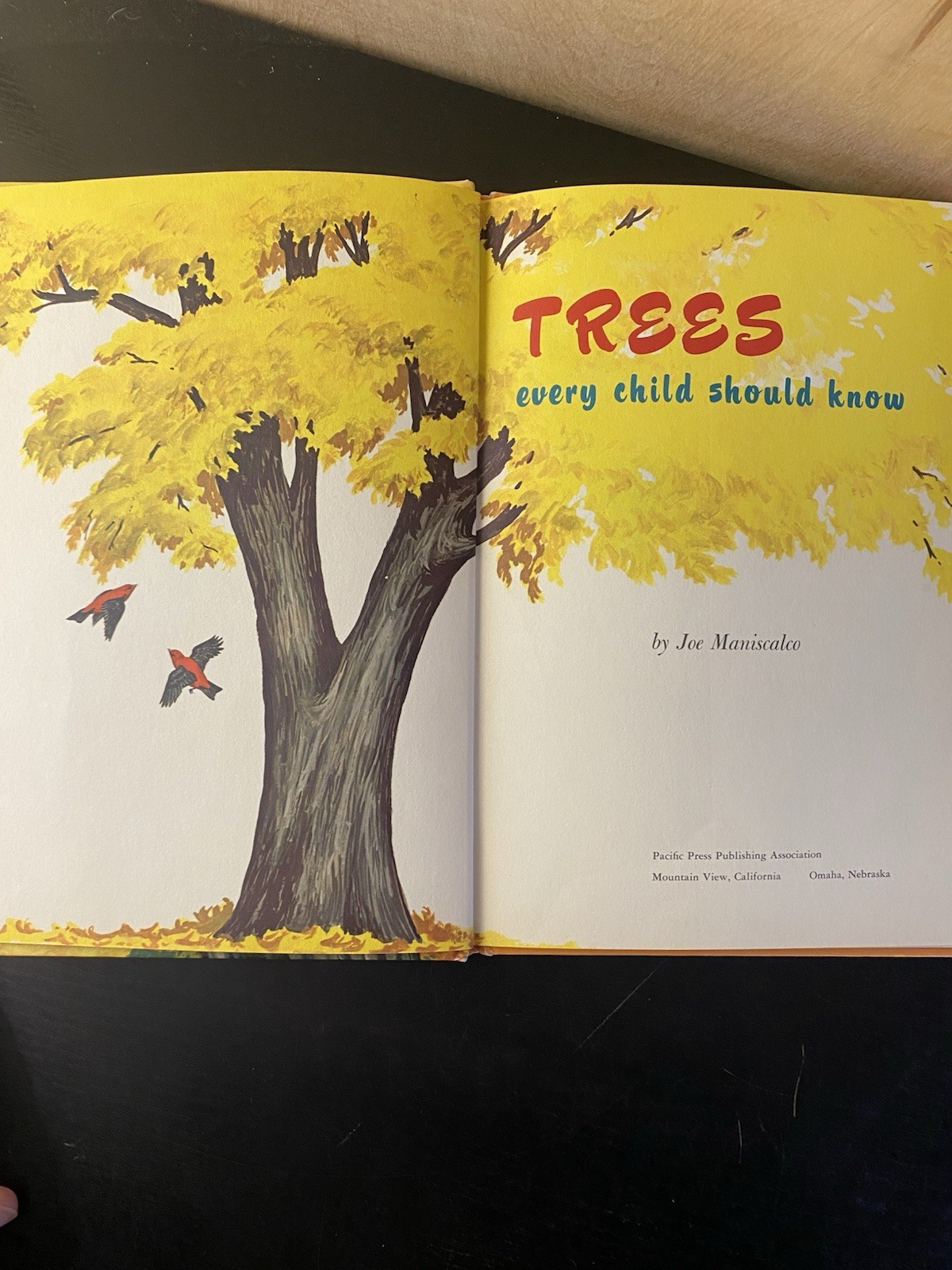 6 Joe Maniscalco Kid’s Books 1960’s Hardcover Beautiful Condition