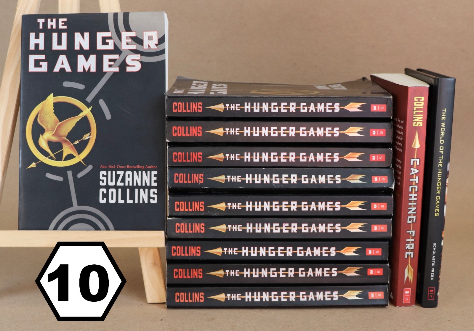 10 THE HUNGER GAMES by Suzanne Collins GUIDED READING Teachers Set + Extras