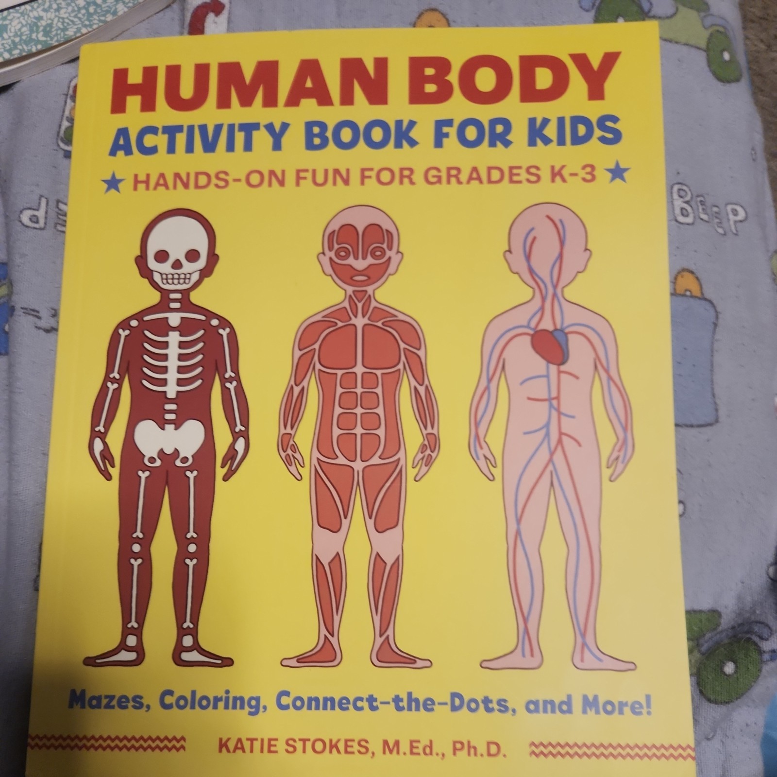 Human Body Activity Book for Kids : Hands-On Fun for Grades K-3 by Katie Stokes