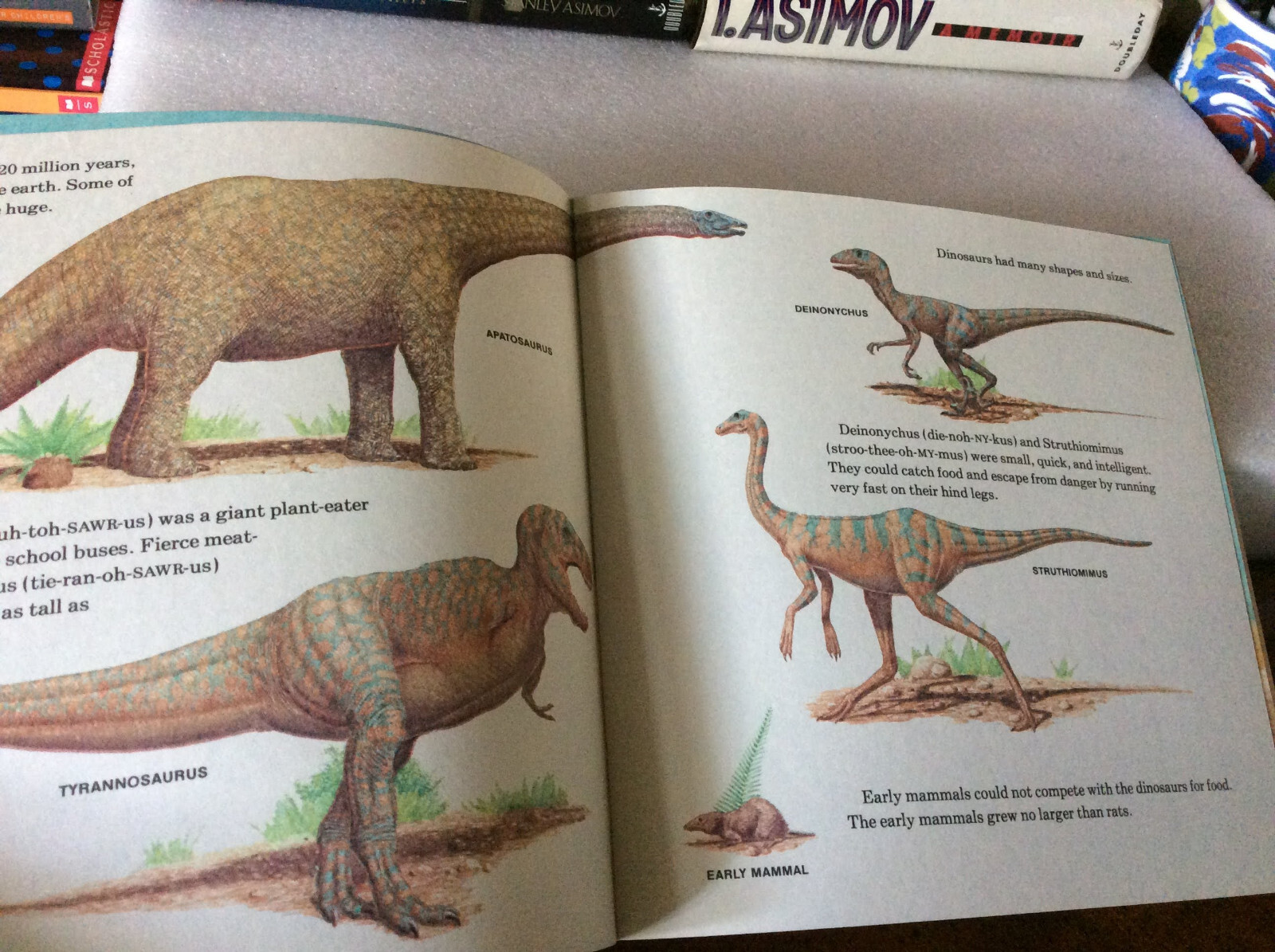 Prehistoric Animals by Peter Zallinger (1978 Paperback)
