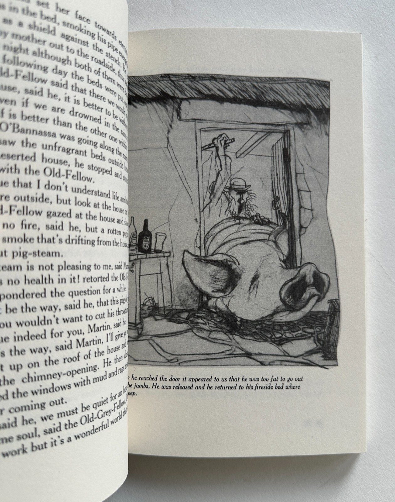 FLANN O’BRIEN The Poor Mouth : Illustrated by RALPH STEADMAN | 1996 Paperback