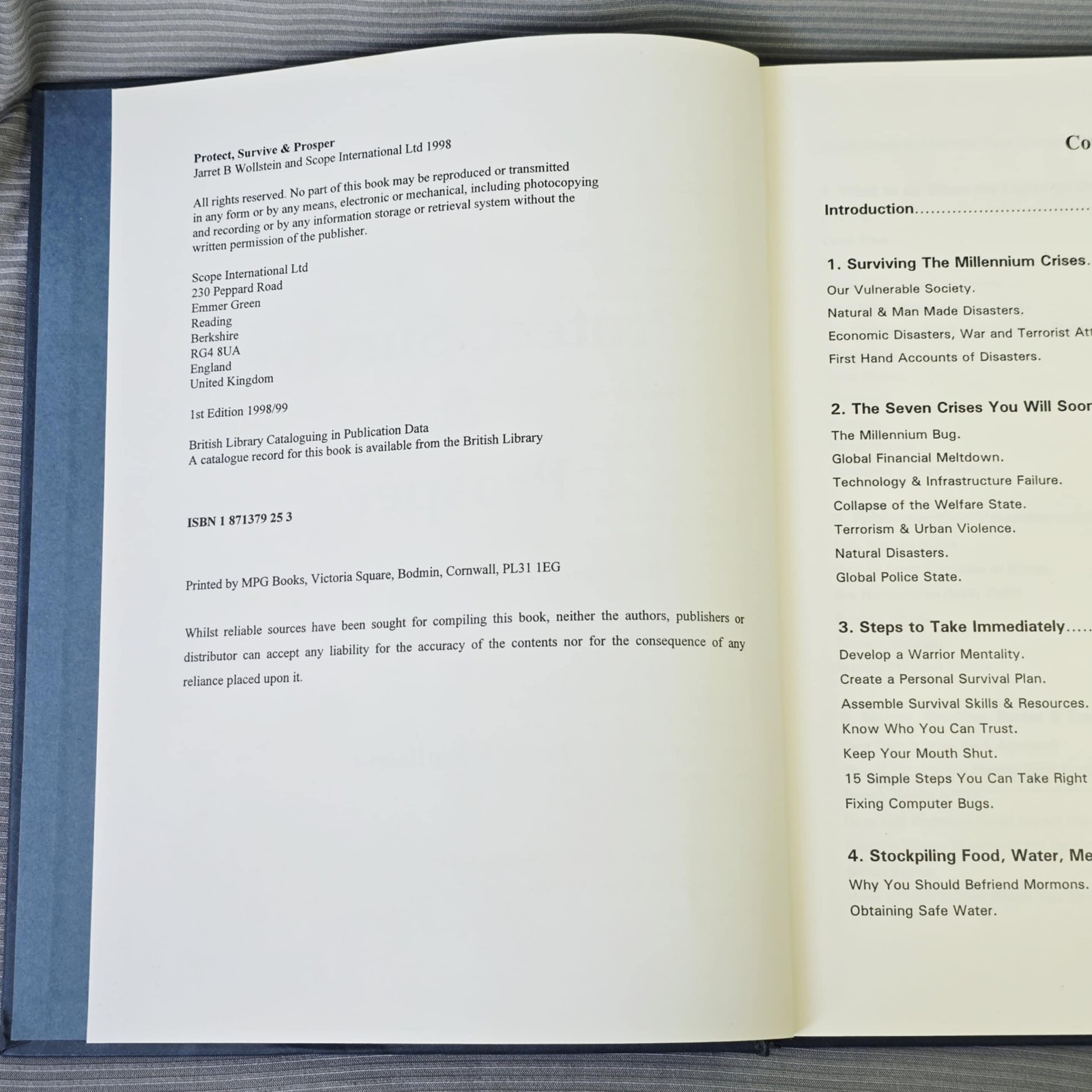 Protect, Survive and Prosper: Surviving The Seven… – Wollstein, Jarret B.