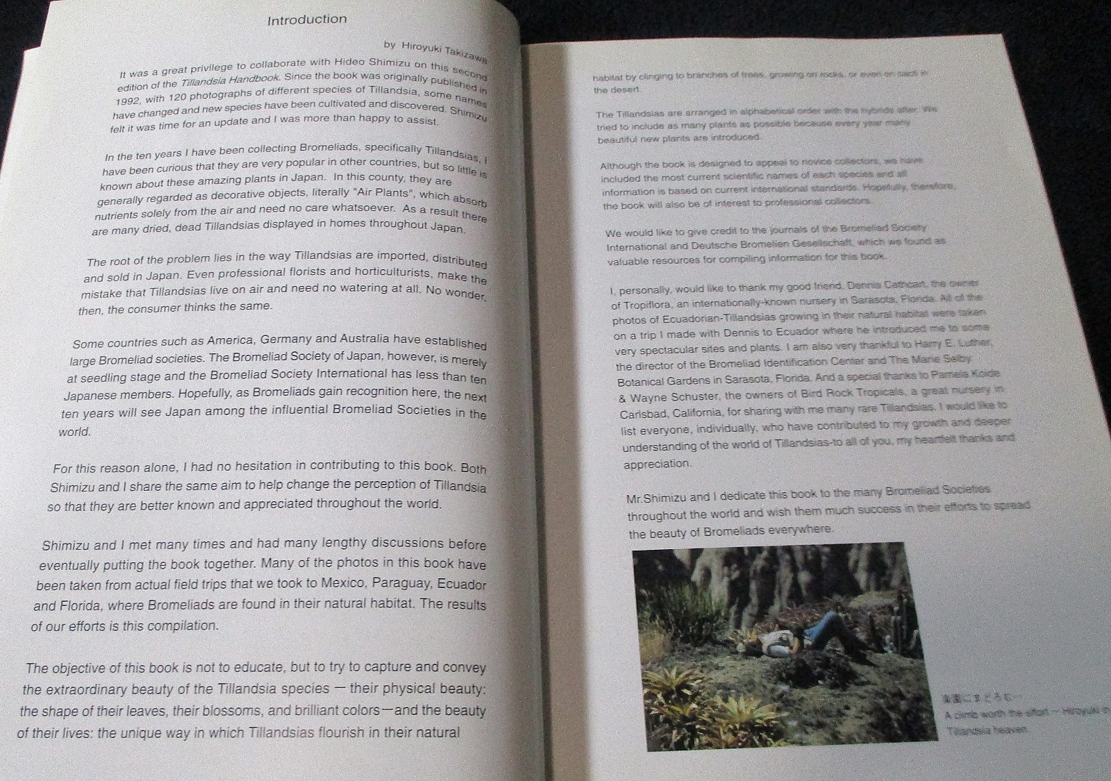 NEW TILLANDSIA HANDBOOK Shimizu-Takizawa 1998 Air Plants Japanese-English SCARCE