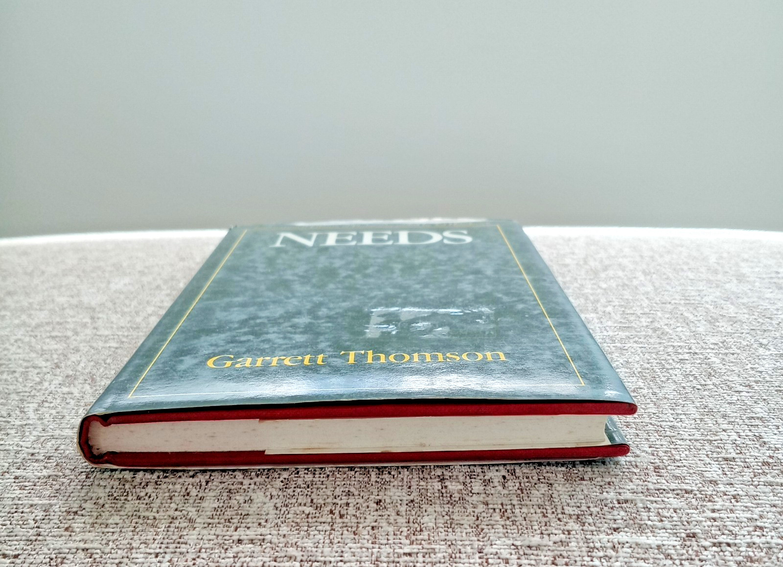 NEEDS (International Library of Philosophy ) By Garrett Thomson Hardcover