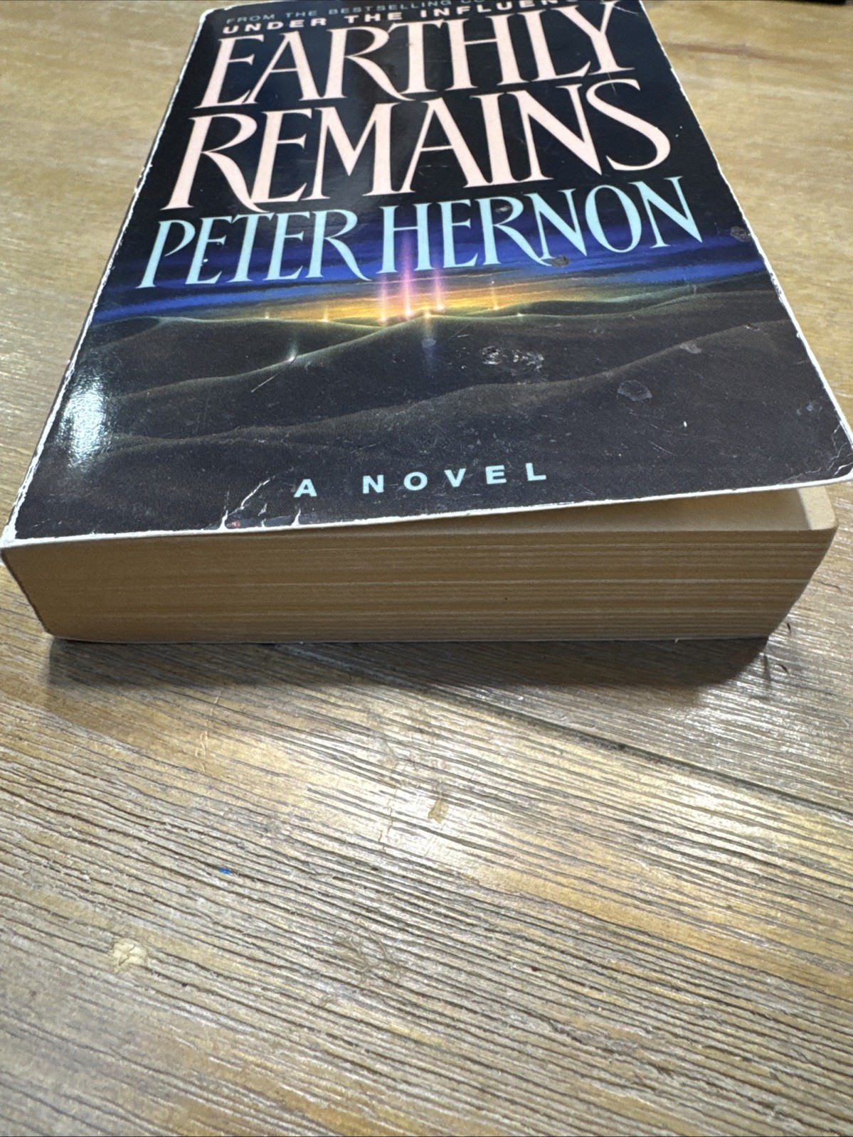 Earthly Remains by Peter Hernon (1992, Trade Paperback) 1st Printing