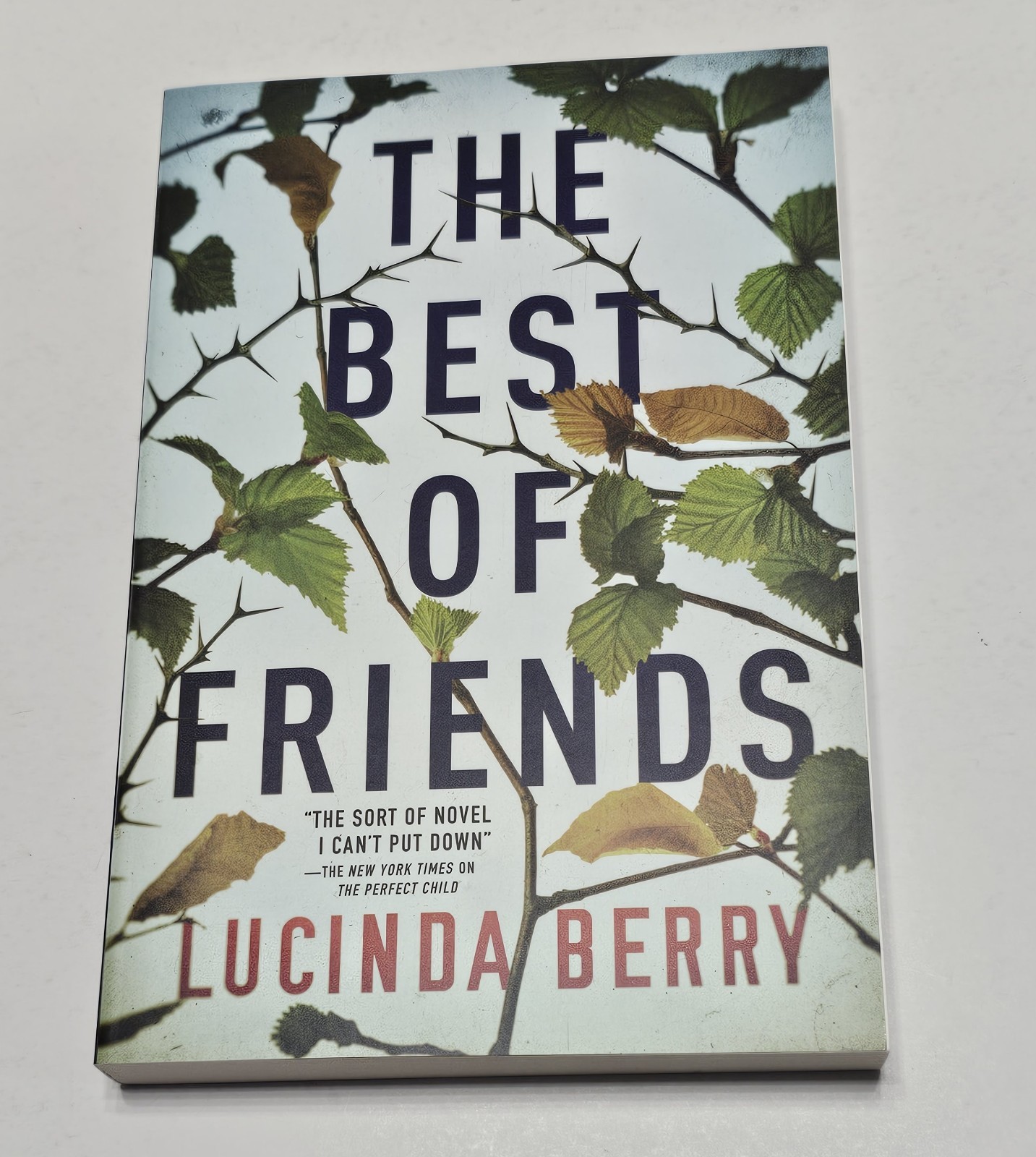Best of Friends by Lucinda Berry (2020, Trade Paperback) BRAND NEW