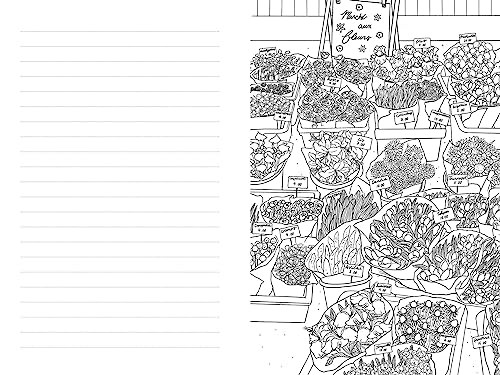 Paris: A Color-Your-Own Travel Journal (Color Your World Travel Journal Series),