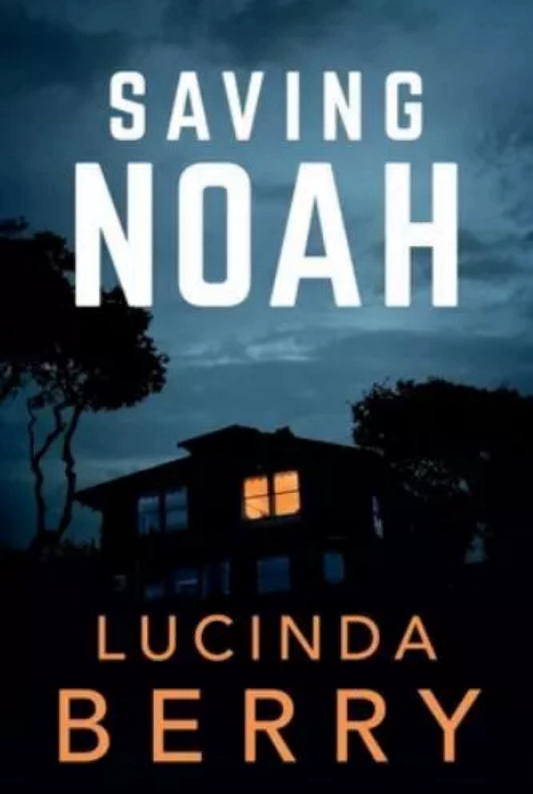 Saving Noah Paperback LIKE NEW