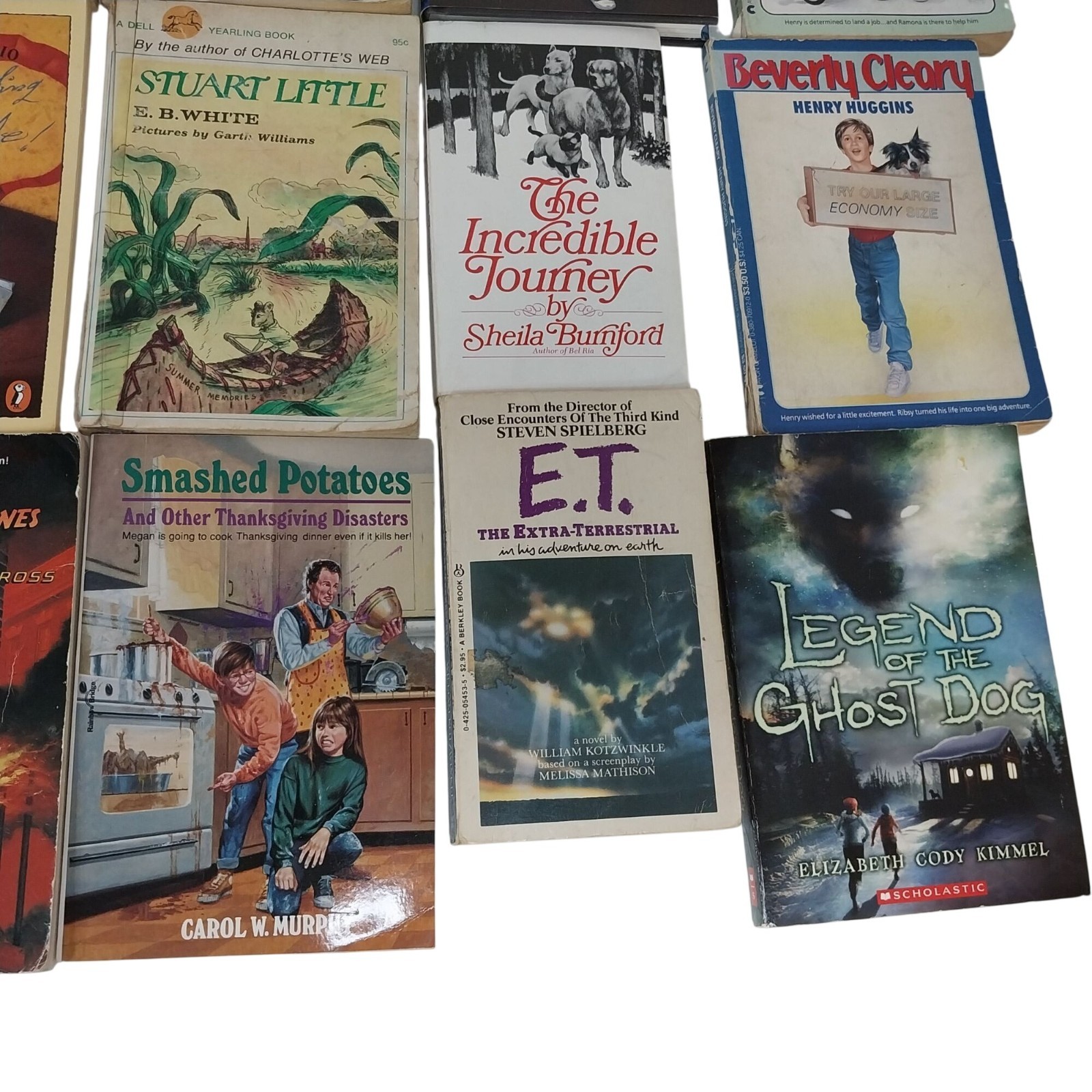 Early Chapter Books Boys Interest Lot of 26 Grade 3-6 Vintage & Modern