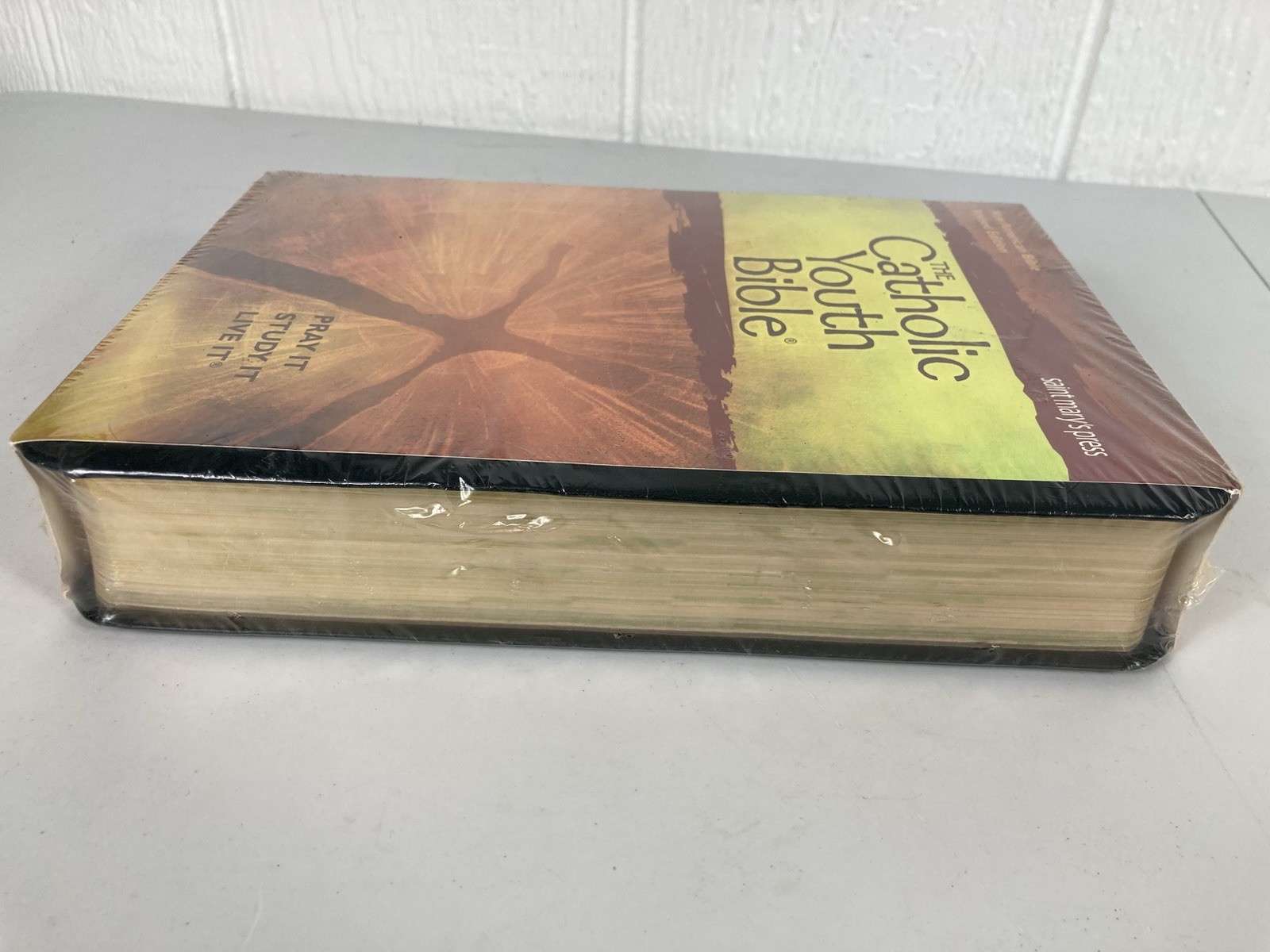 The Catholic Youth Bible Saint Mary’s Press New American Bible Revised Edition