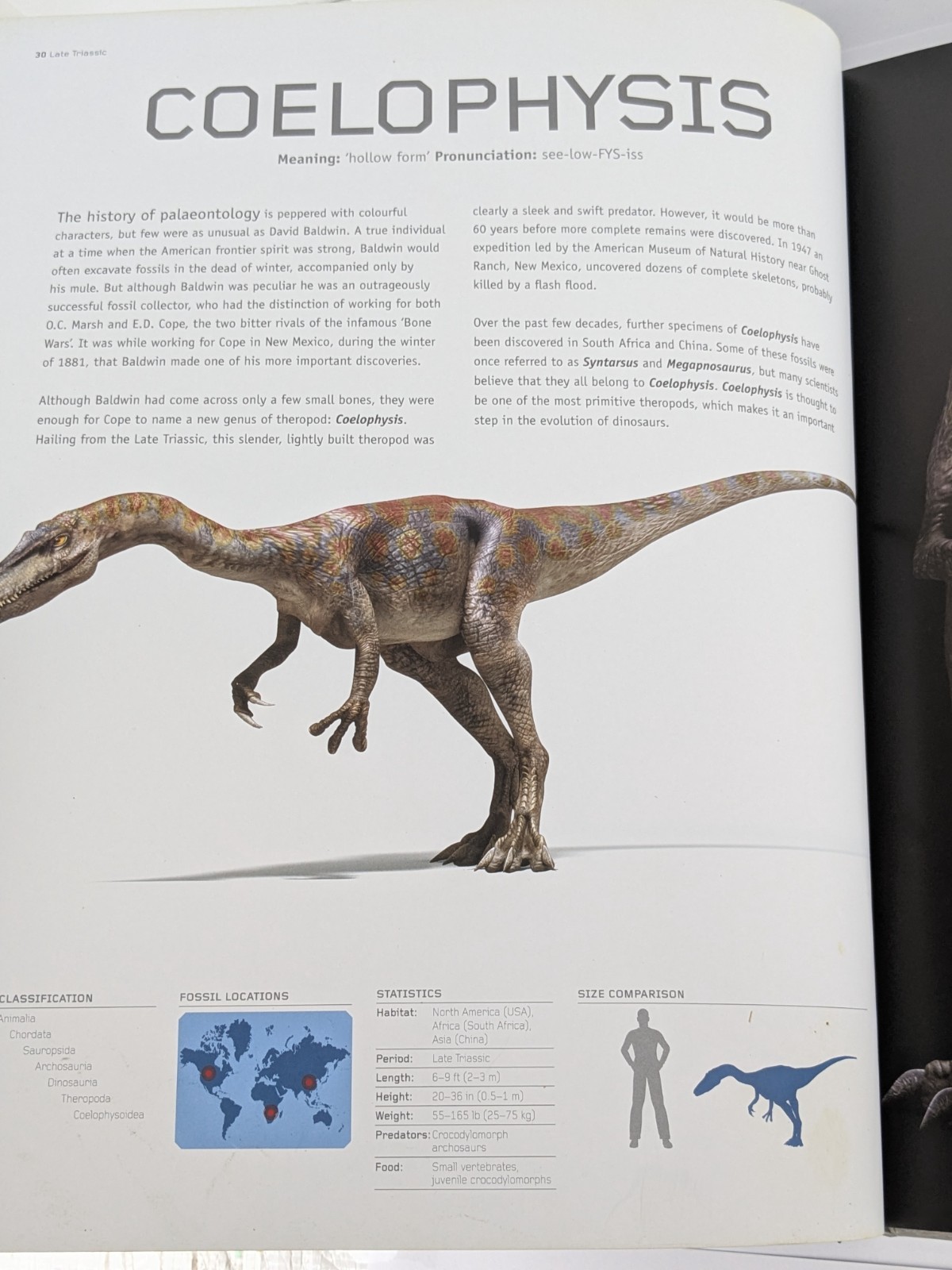 Dinosaurs by Steve Brusatte (Large Hardcover) 2010