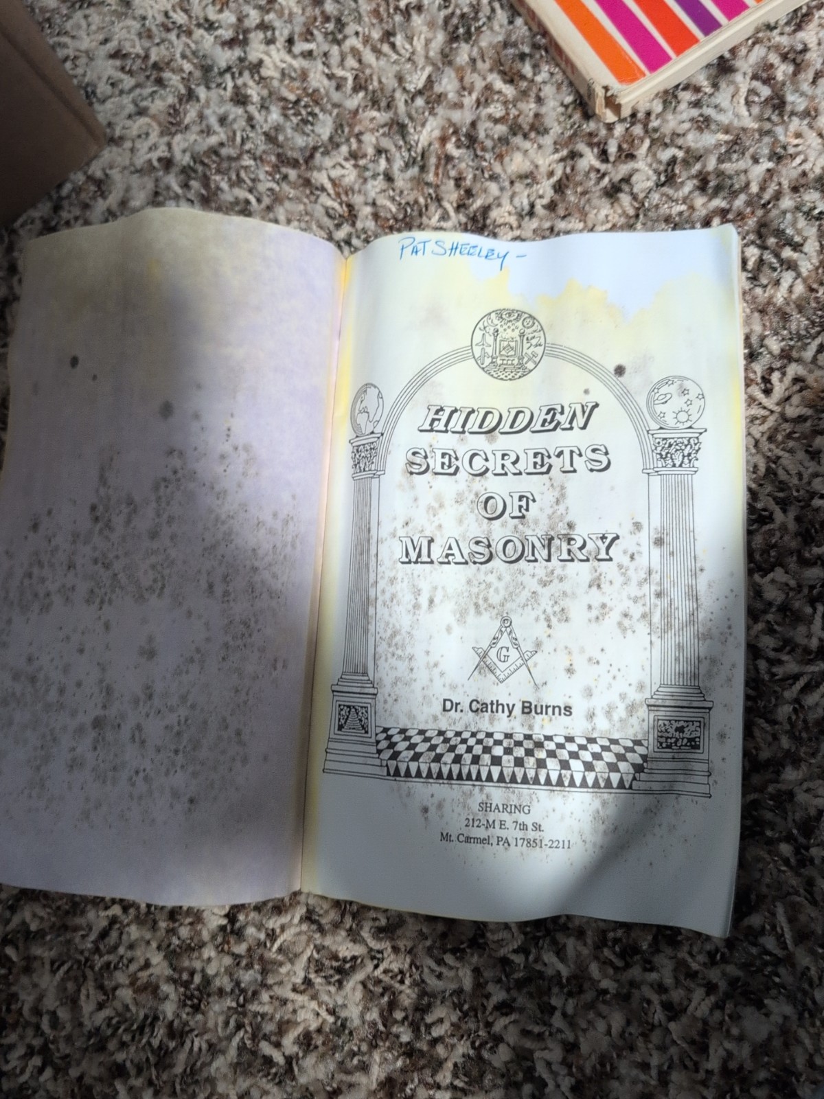 Hidden Secrets of Masonry by Cathy Burns (1990, Trade Paperback)