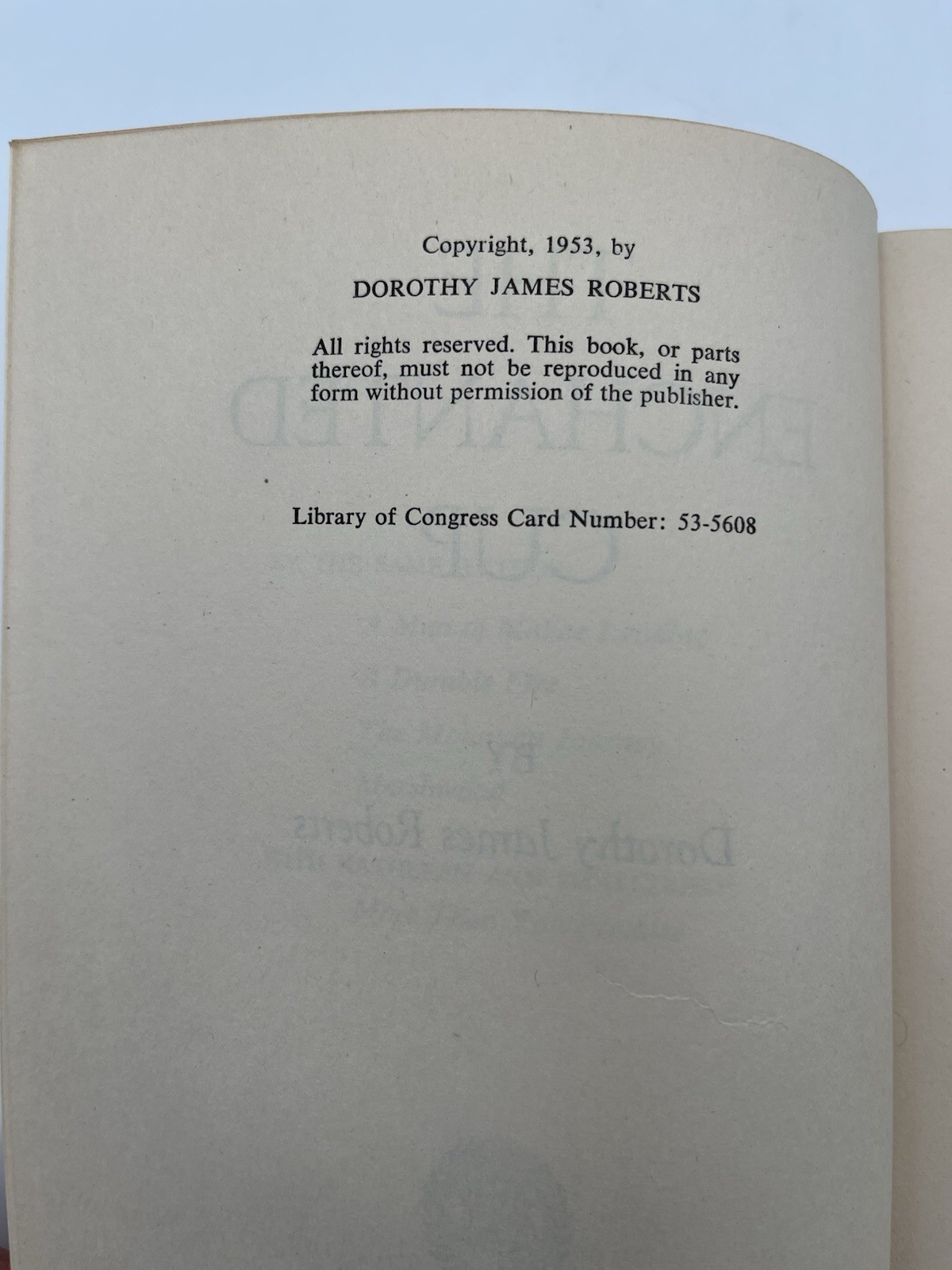 The Enchanted Cup 1953 Dorothy James Roberts Arthurian Medieval Romance Book
