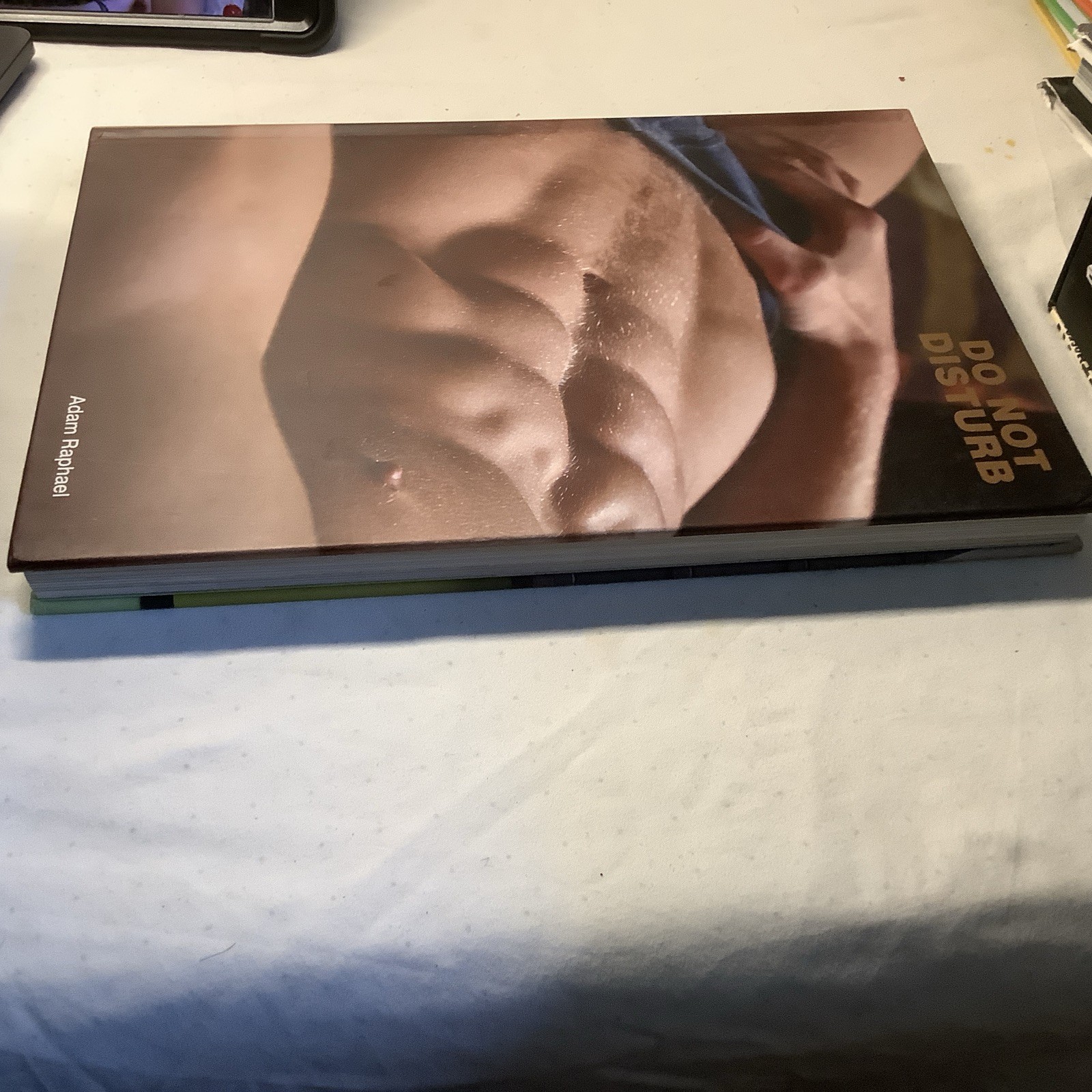 Do Not Disturb By Adam Raphael Gay Interest Erotic Book