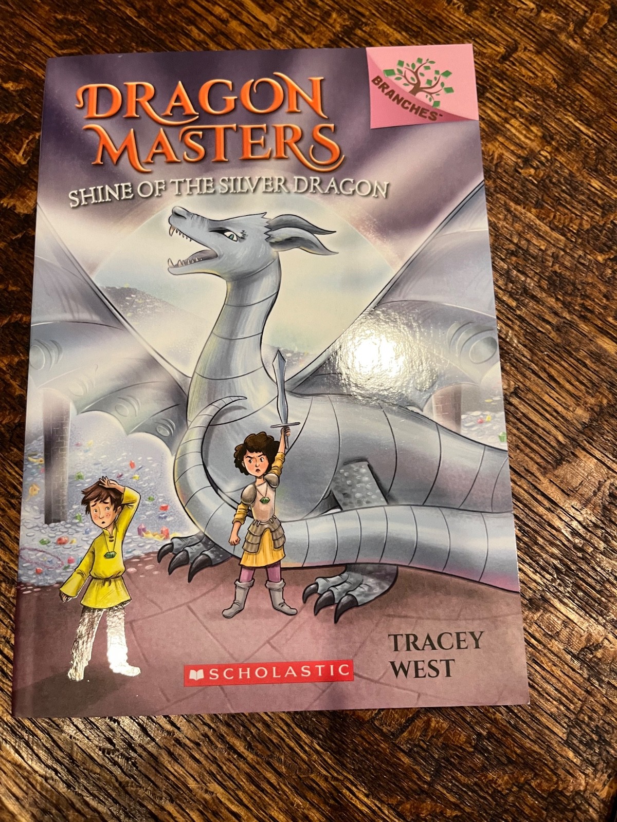 Dragon Masters Books 9-12 Set Scholastic Fantasy Series Paperback Lot Complete
