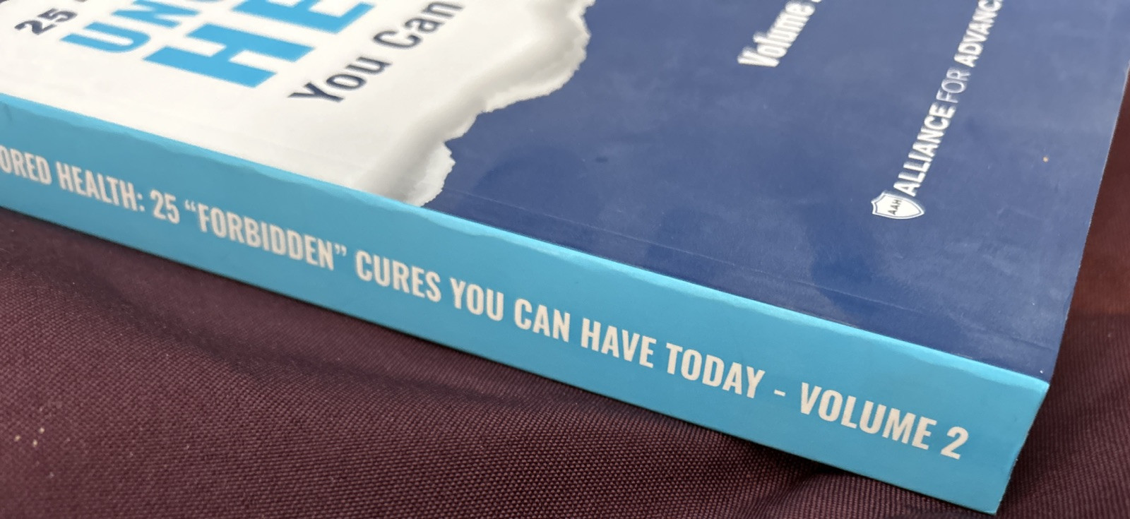 25 “Forbidden” Cures: Uncensored Health You Can Have Today Vol. 2 PB Book