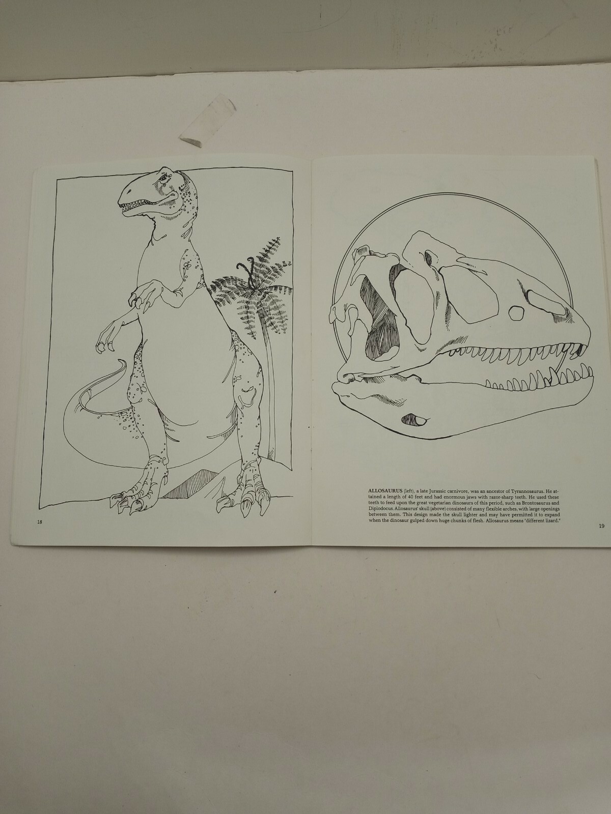 Vintage The Dinosaur Coloring Book by Anthony Rao Dover Publishing 46 Pgs 1980.