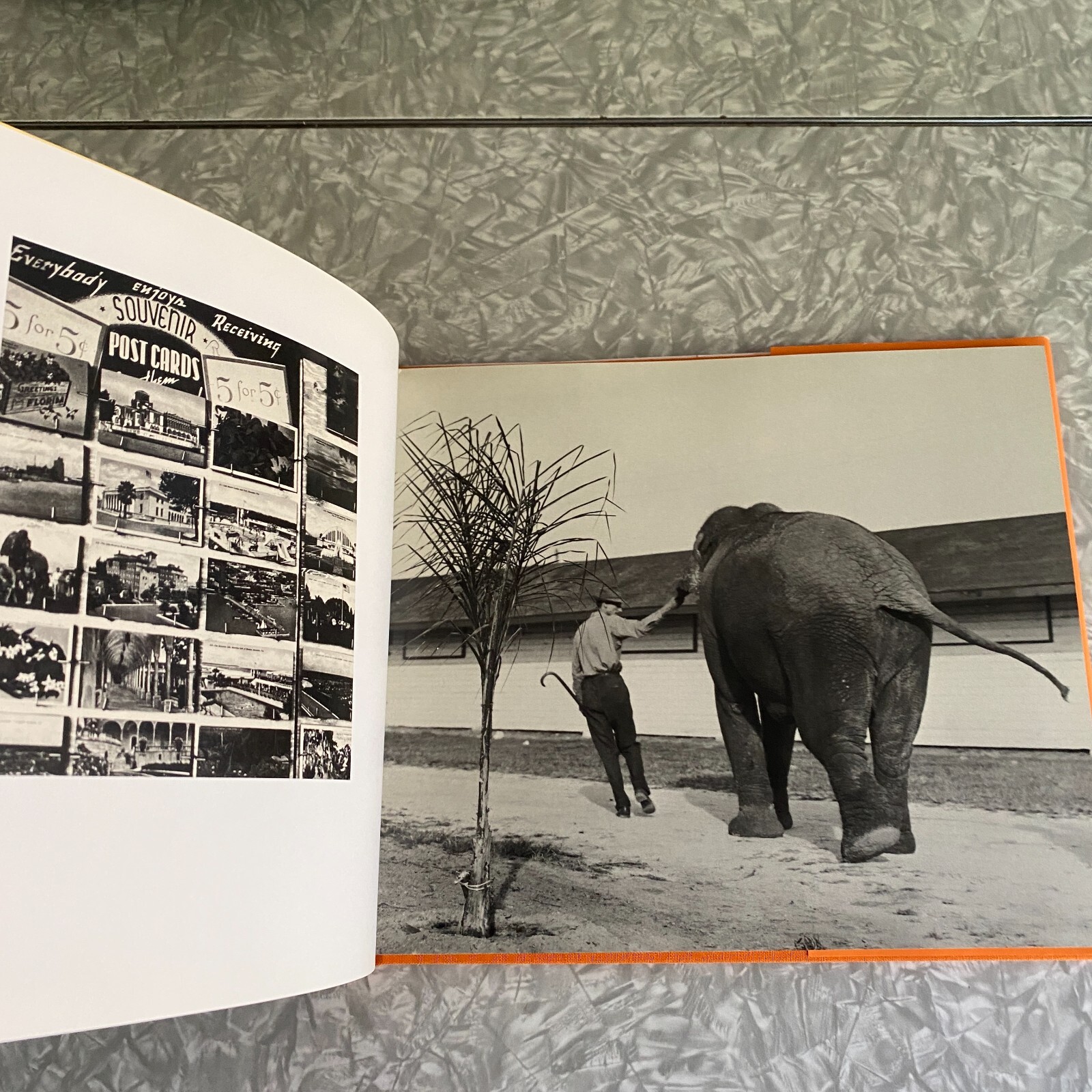 Walker Evans Florida HC Essay by Robert Plunket Getty Museum w/ Dustjacket 2000
