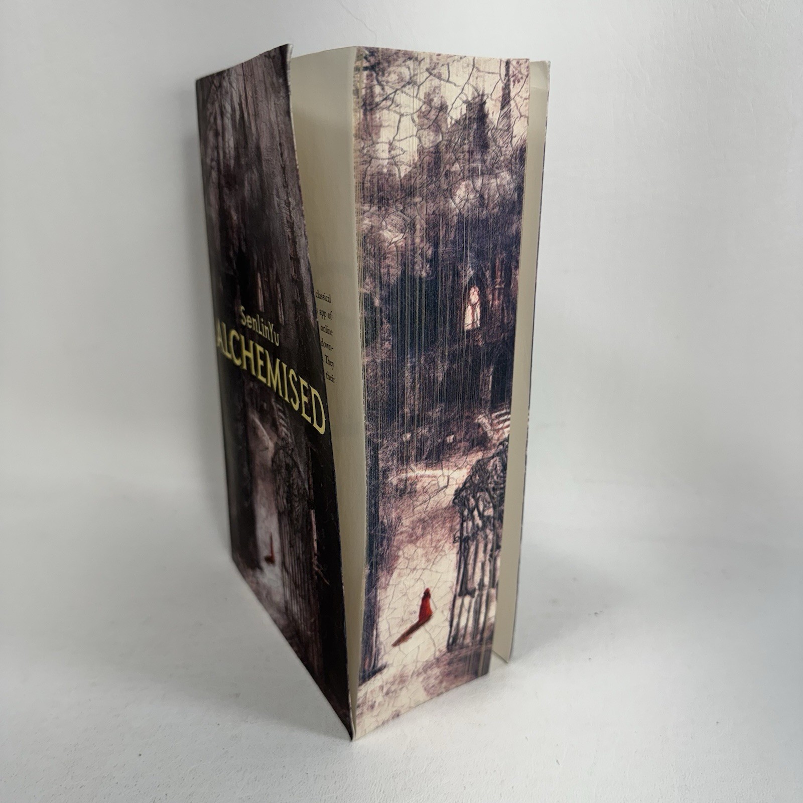 Alchemised by SenLinYu Paperback Sprayed Edges 2025