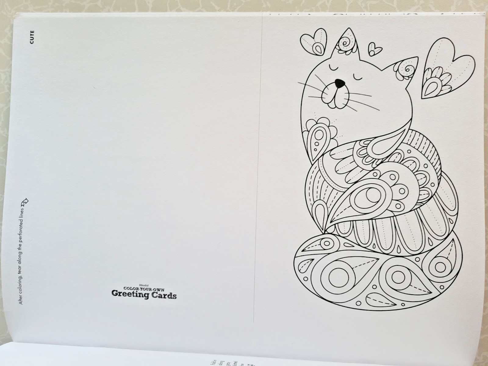 COLOR YOUR OWN GREETING CARDS Create 24 Fun & Festive Cards – Children & Adult