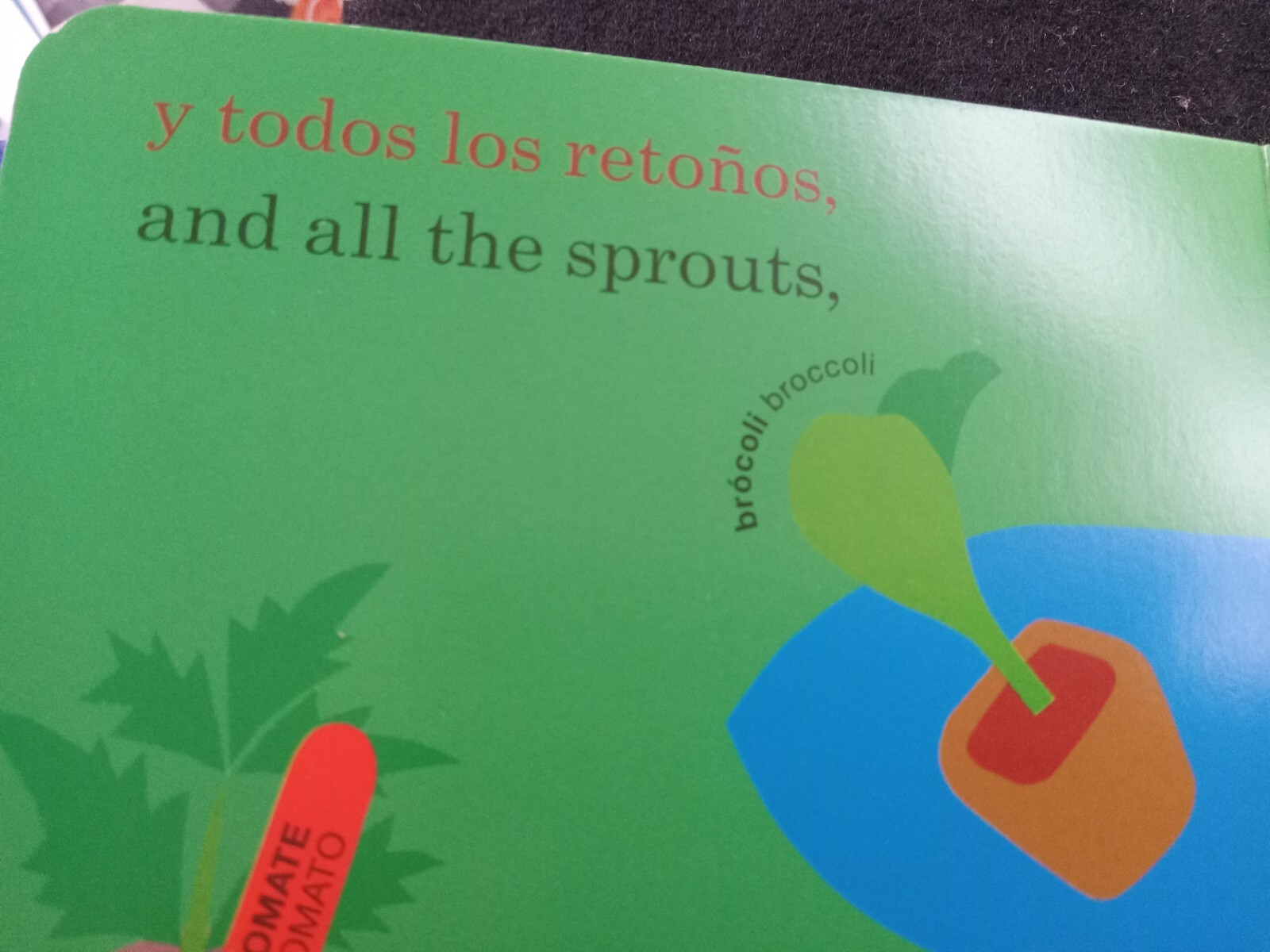 Spanish English Dual Language Board Book By Lois Ehlert Growing Vegetable Soup