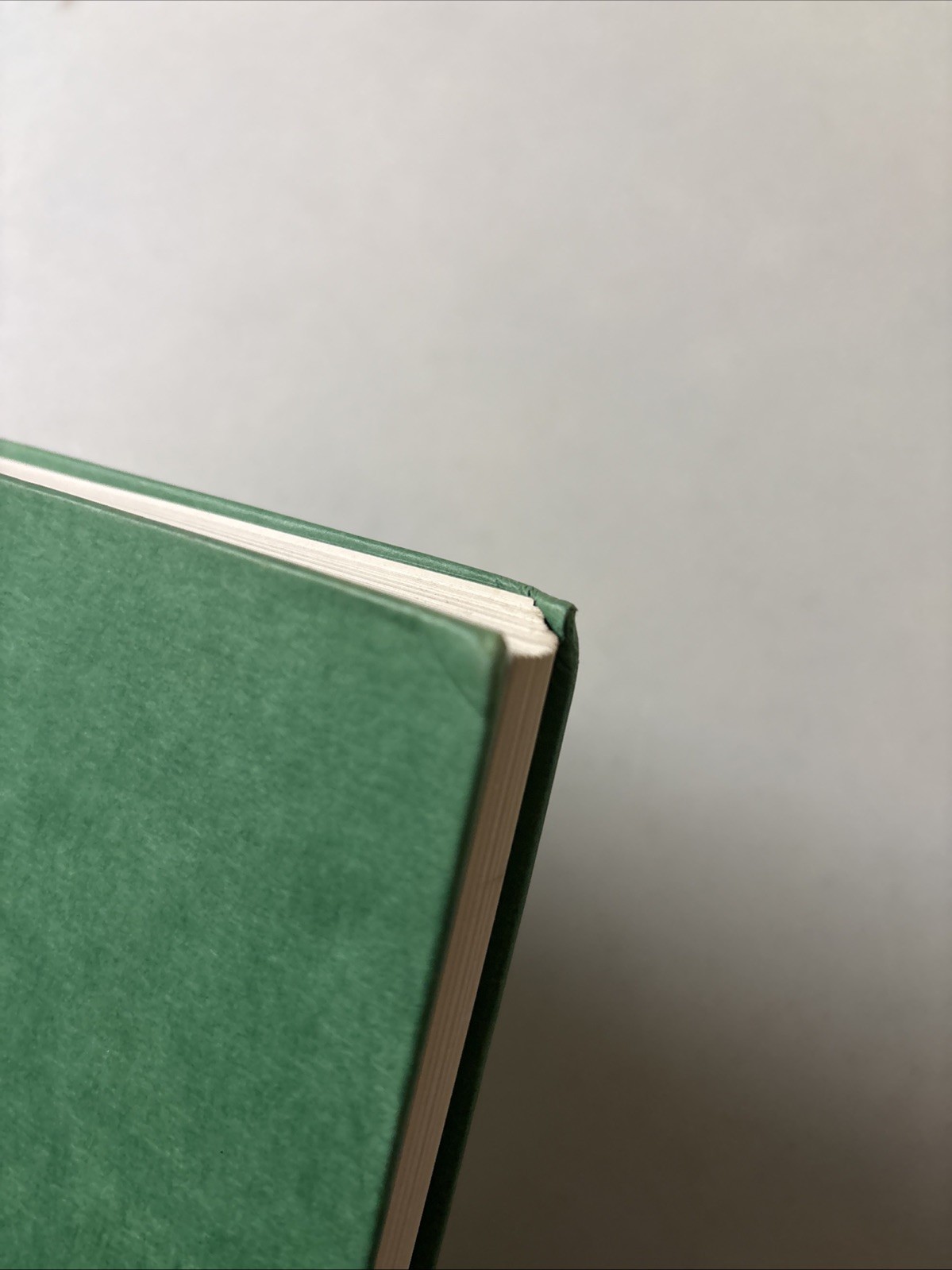 The Eyes of the Dragon by Stephen King – 1987 1st Edition Viking Raised Scales