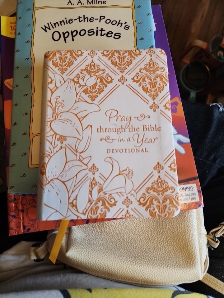 Pray through the Bible in a Year Devotional