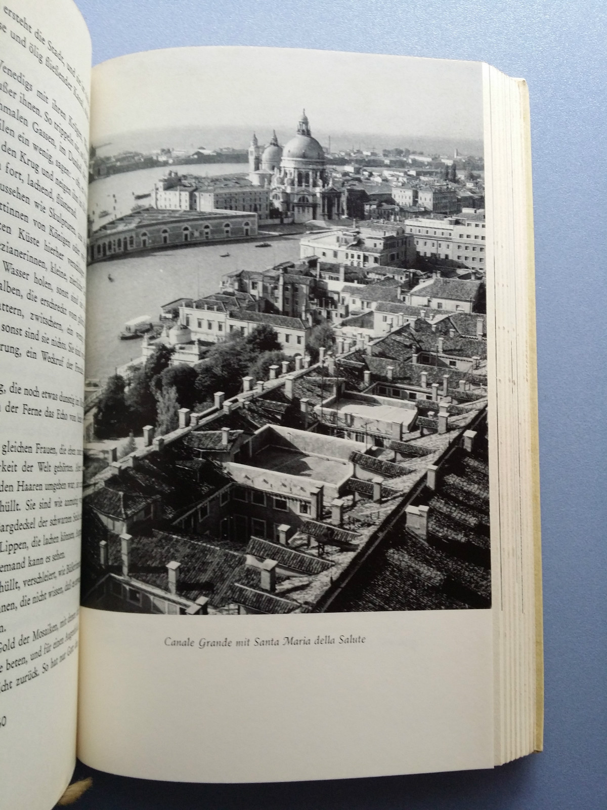 Queen of the Seas Novel of a City Marianne Langewiesch 1953 274 Pages