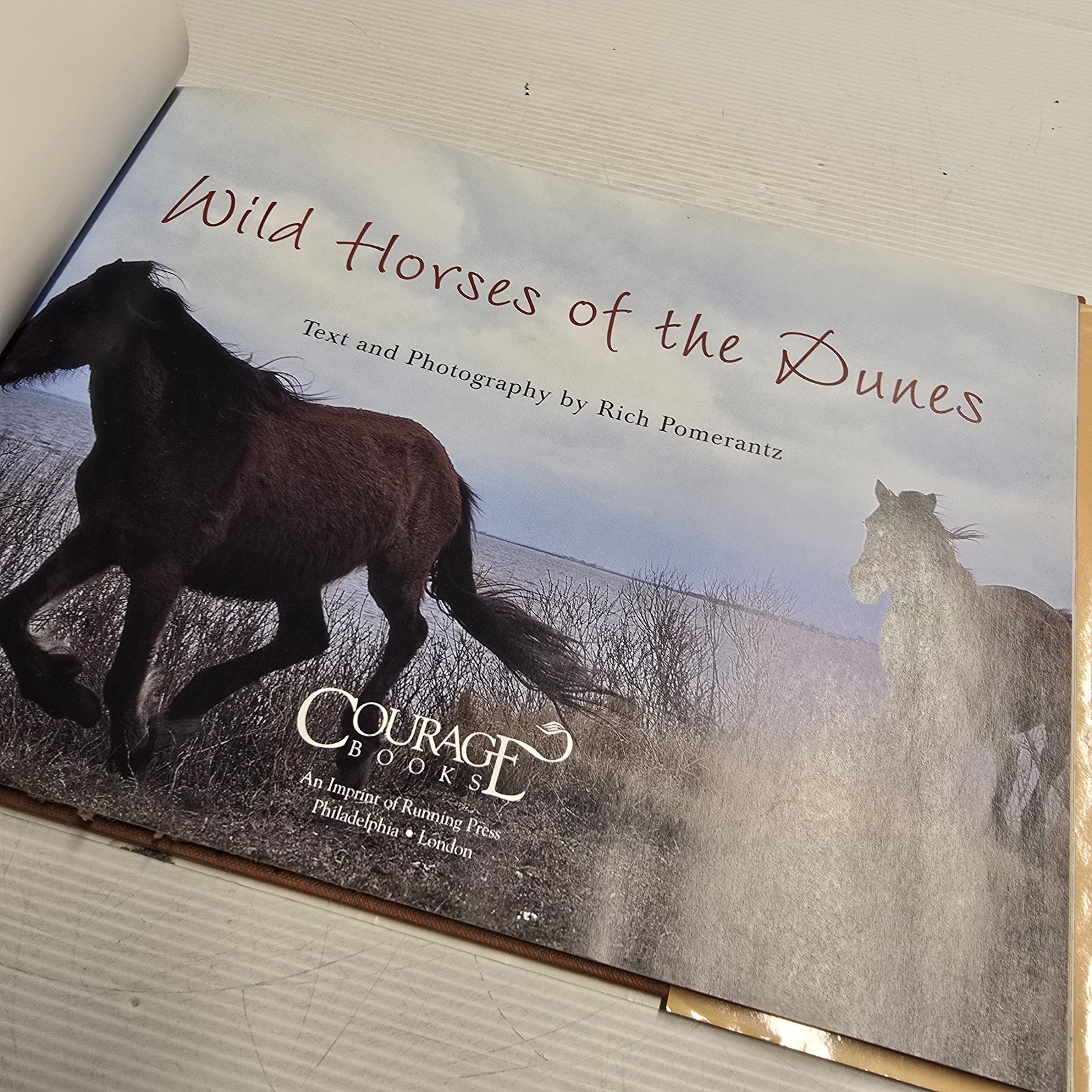 Wild Horses of the Dunes by Rich Pomerantz Hardcover Photography Book Nature