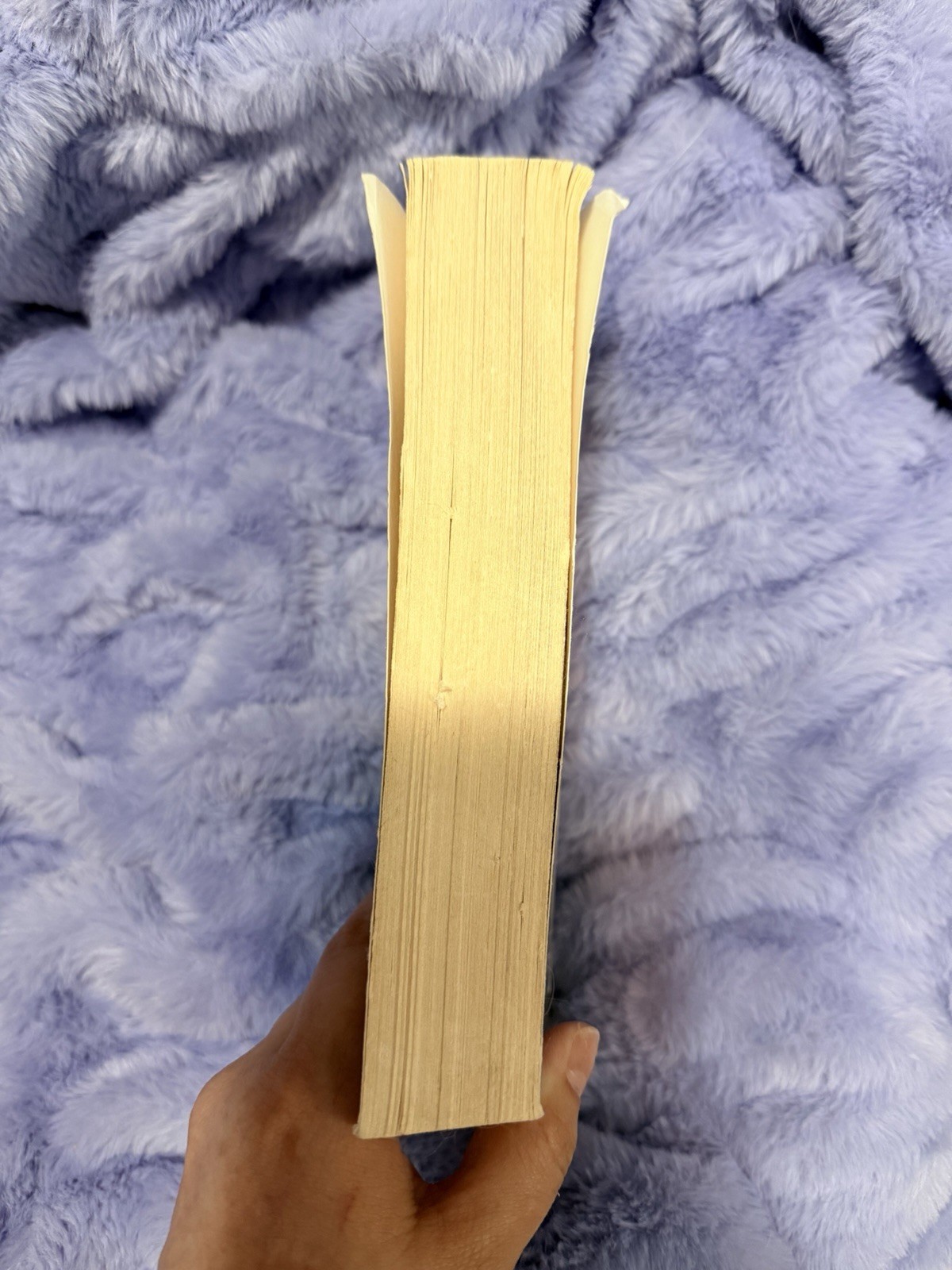 The Runaway Paperback Hollie Overton Fiction