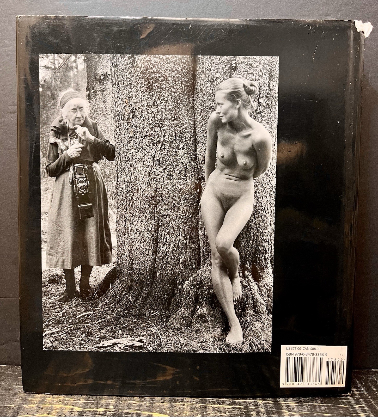 Naked : The Nude in America by Bram Dijkstra (2010, Hardcover) Good T1