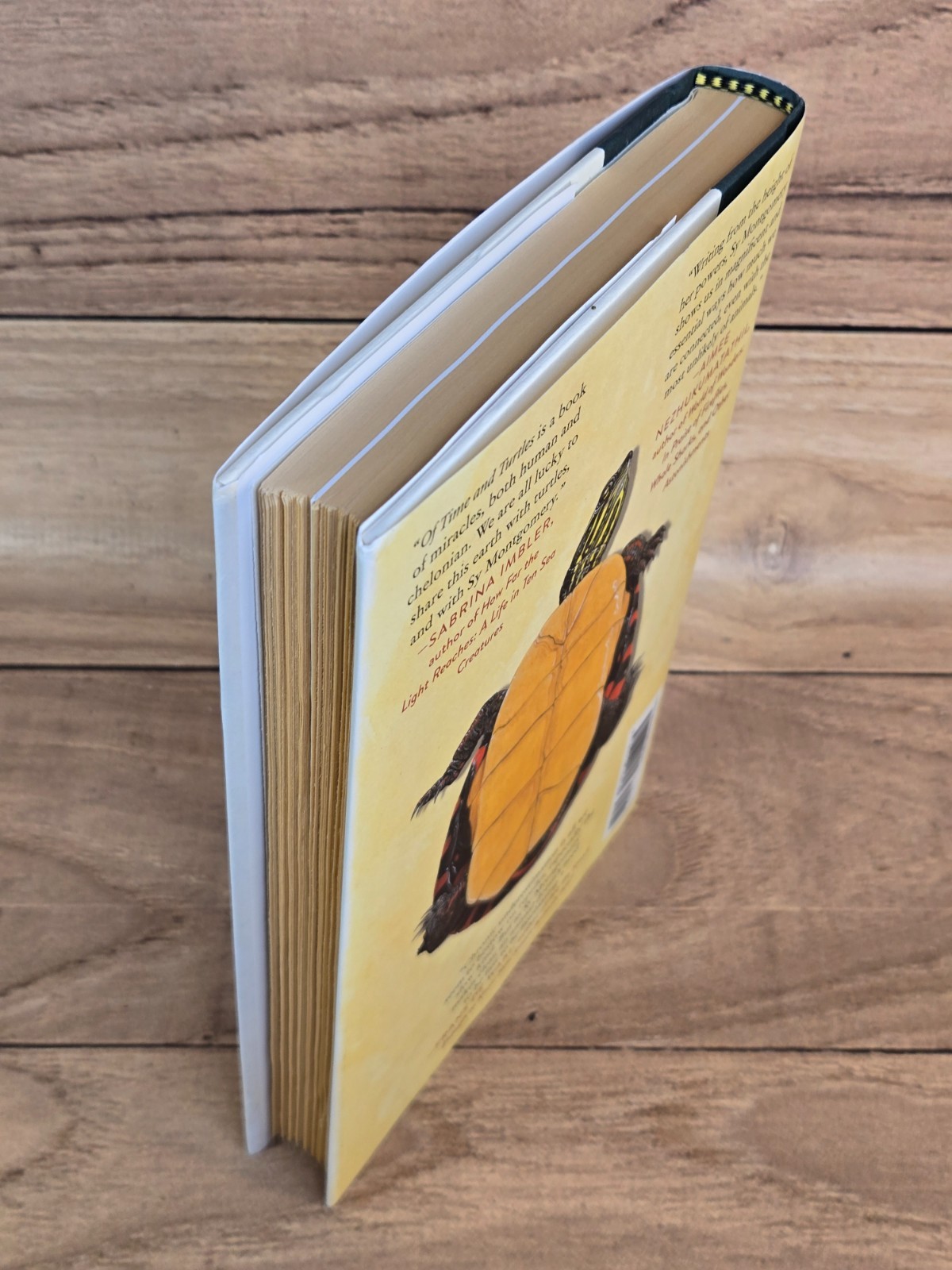Of Time And Turtles: Mending The World, Shell By Shattered Shell Sy Montgomery