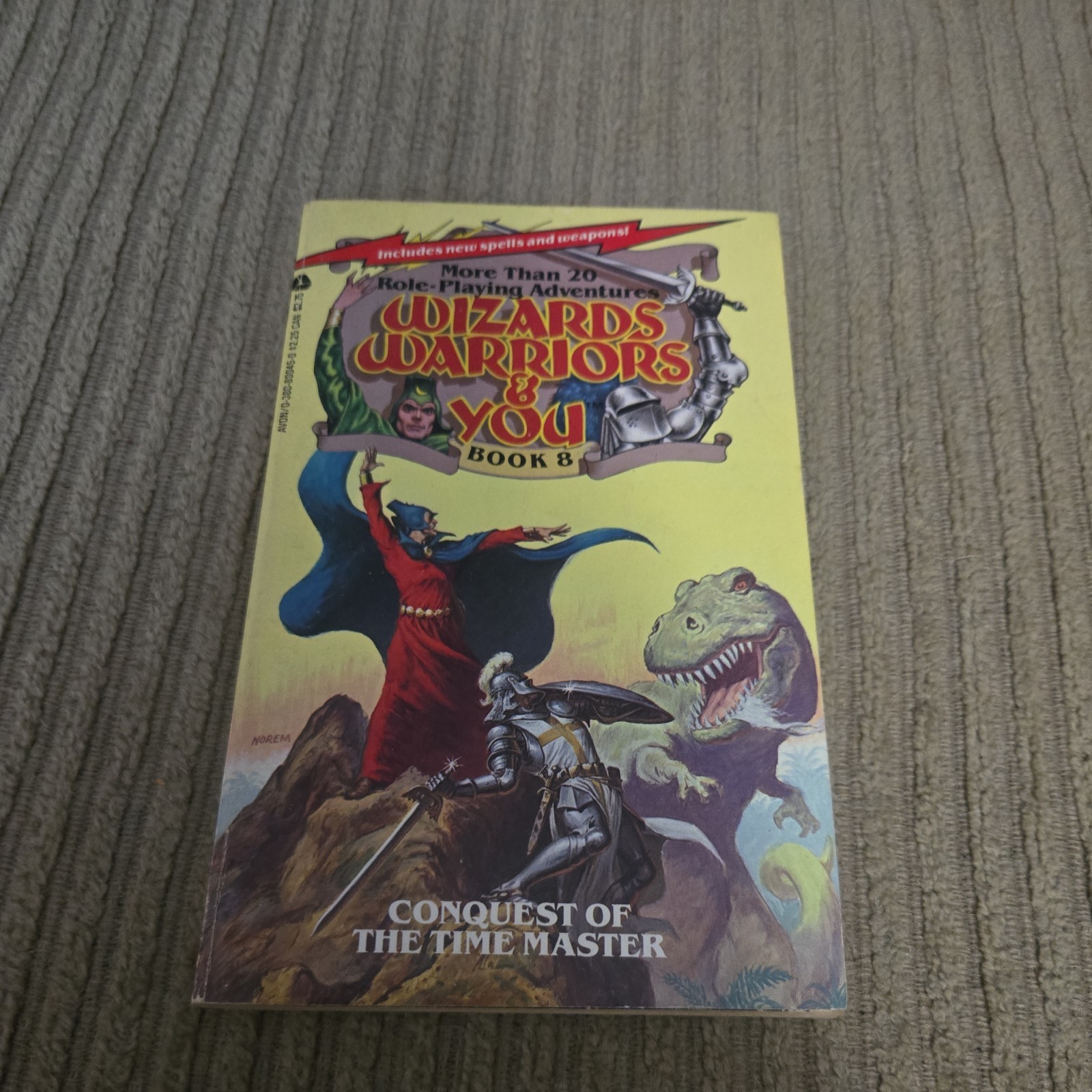 Wizards Warriors & You Book #8 Conquest of the Time Master (+20 adventures)