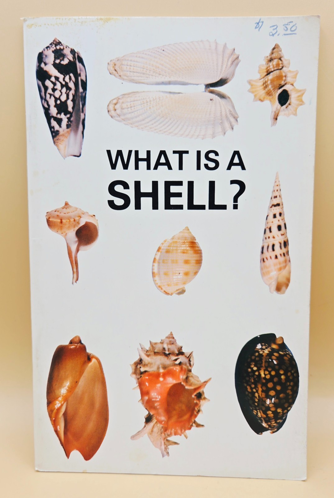 Vintage 1975 WHAT IS A SHELL? Educational Book, VERY GOOD, LN