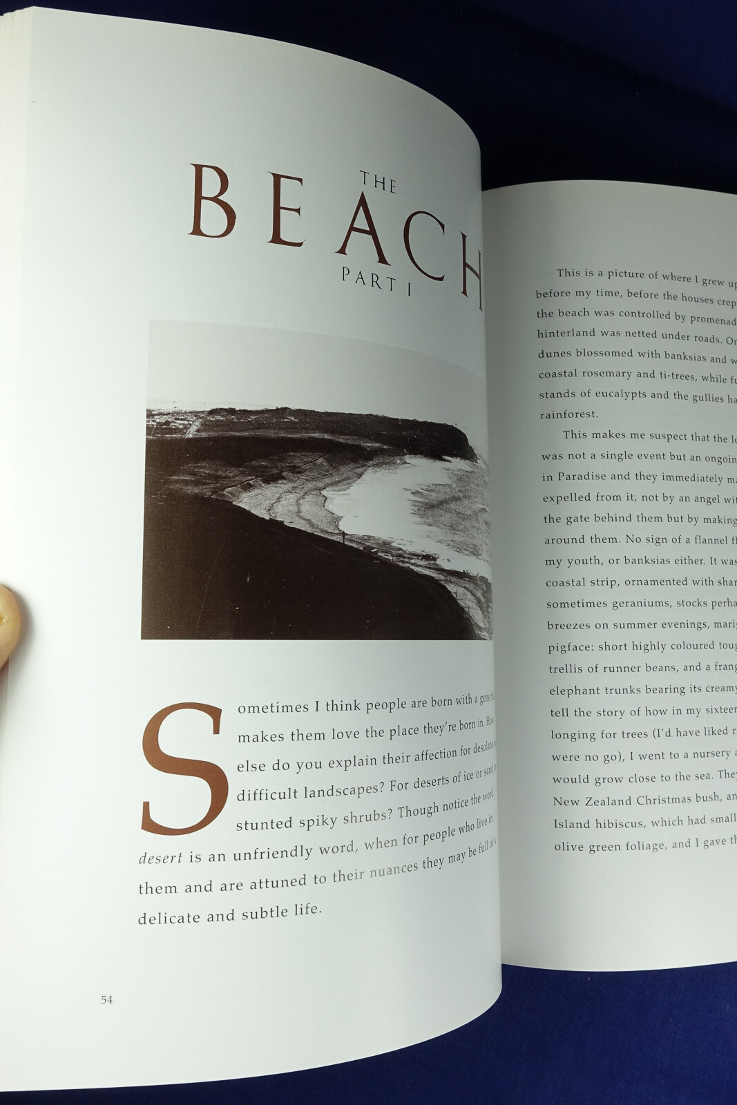 OUT OF THE PICTURE Marion Halligan SHORT STORIES & PHOTOS FROM NATIONAL LIBRARY