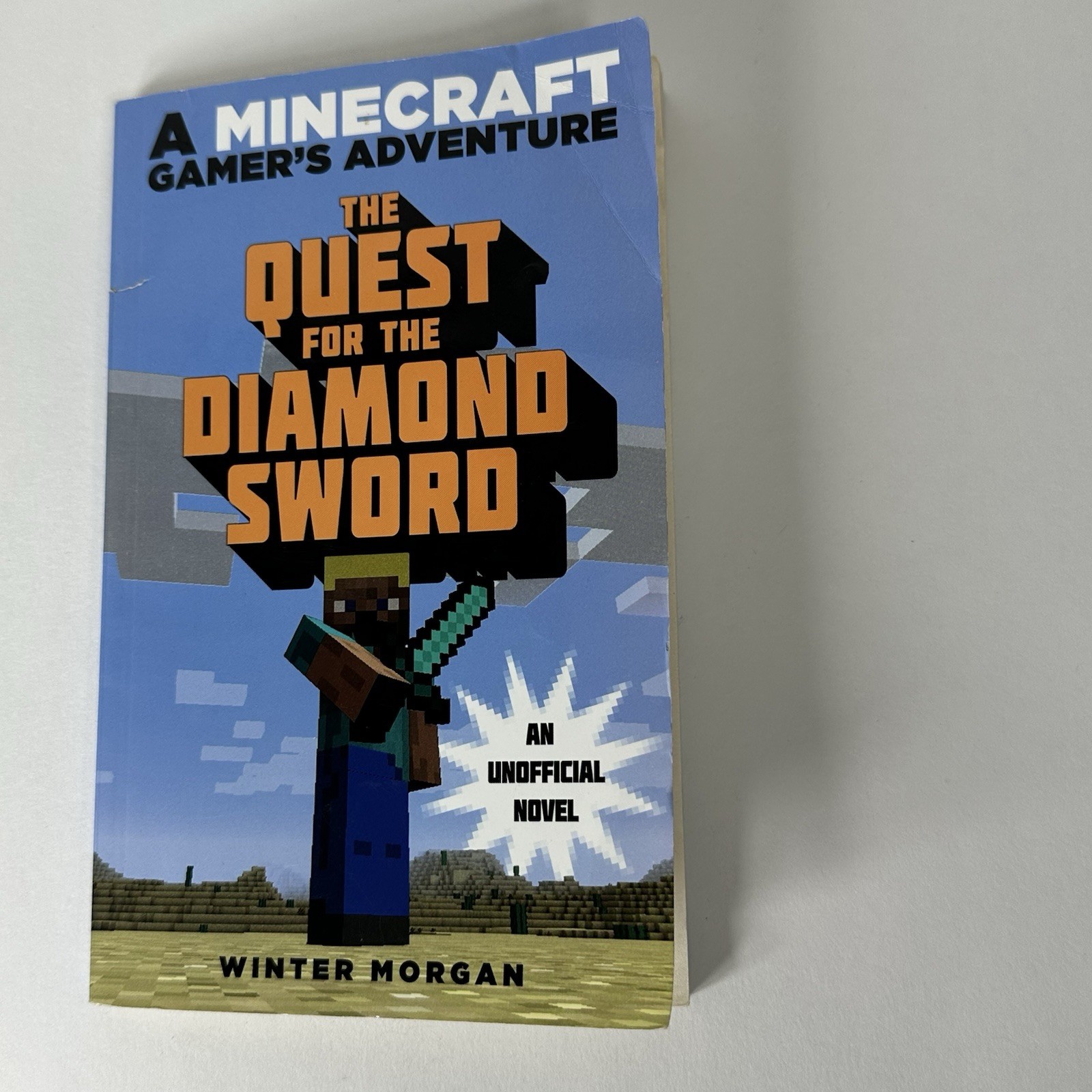 Minecraft Novels, Lot of 10 Books, Various Authors, Chapter Books, Good