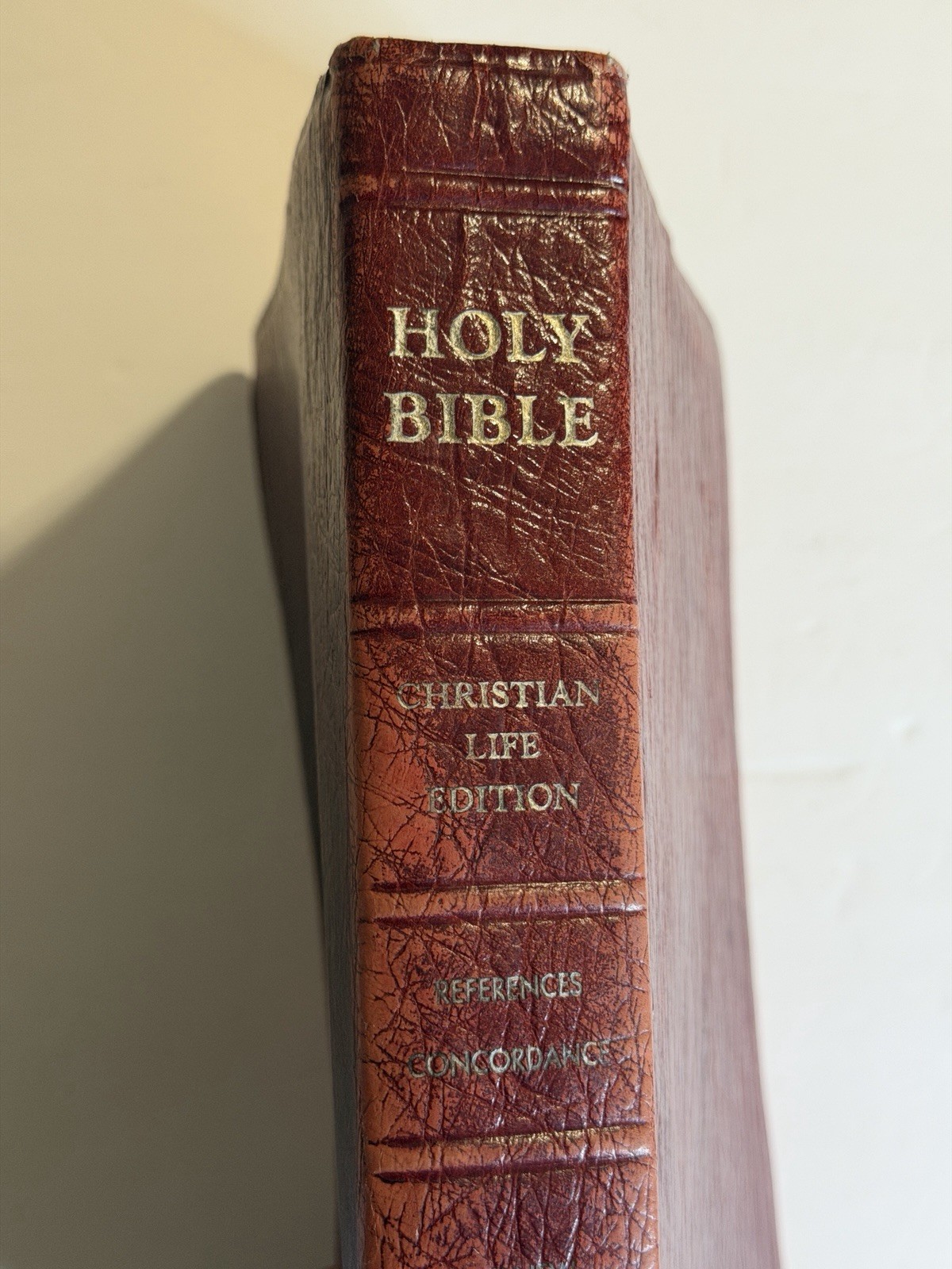 Christian Life Bible Burgundy Genuine Leather Leather NKJV