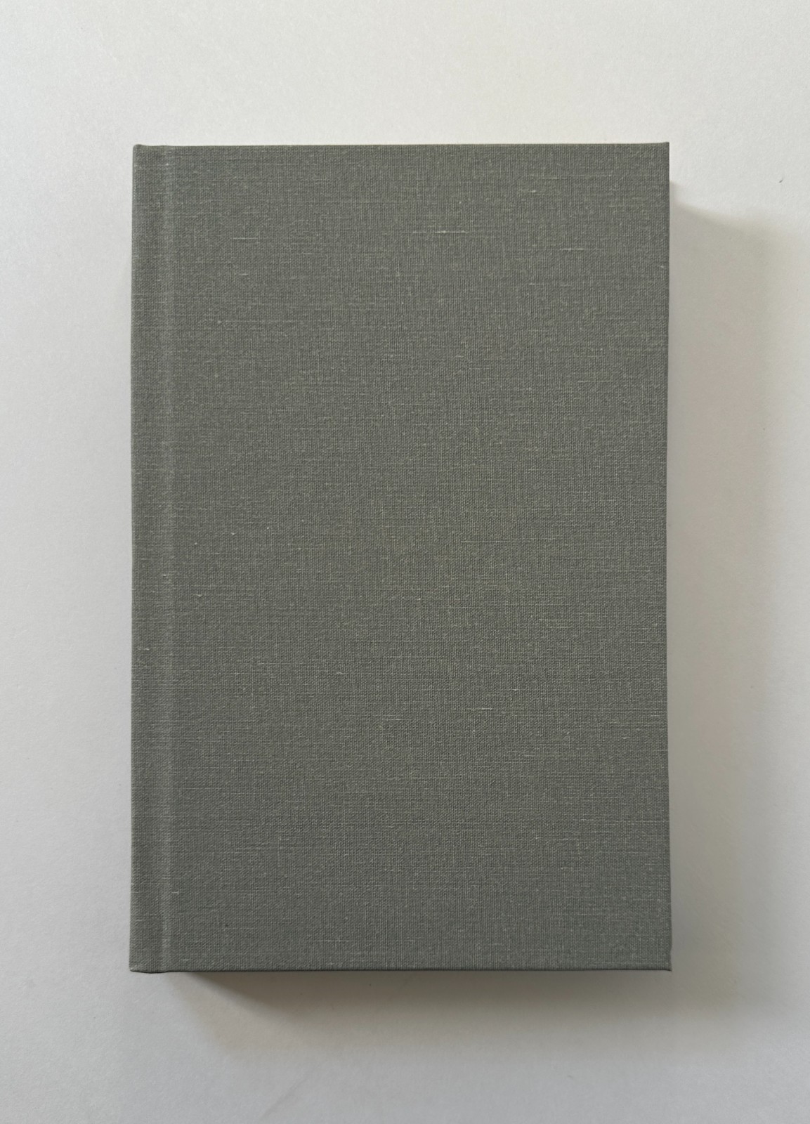 SUMEET BANERJI Ice Party: A Novel | 2015 Mushroom Books First Edition Hardcover