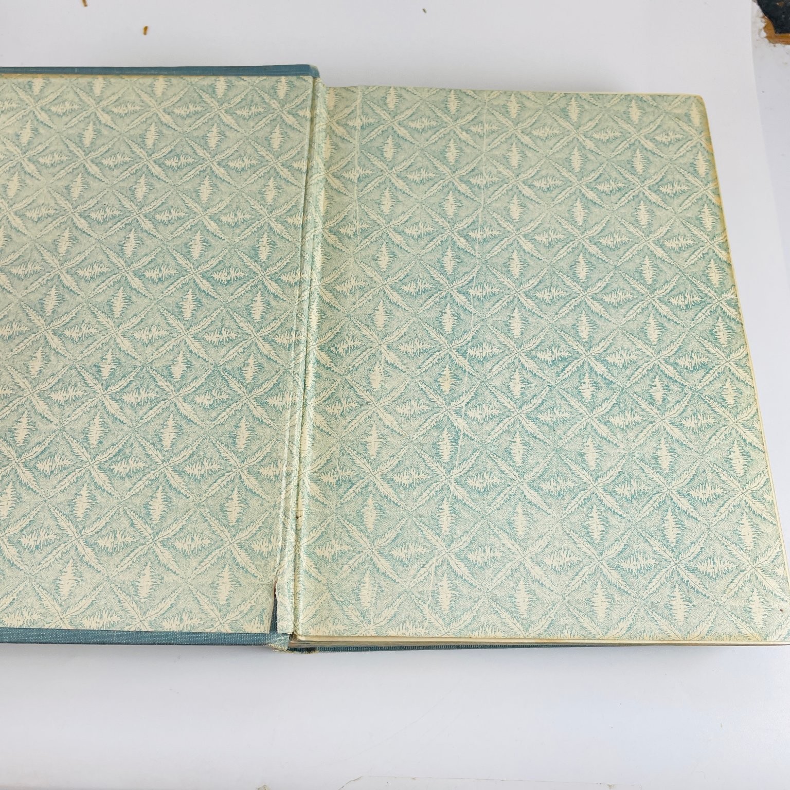 Memorial Life of William McKinley Townsend 1901 Illustrated Biography History