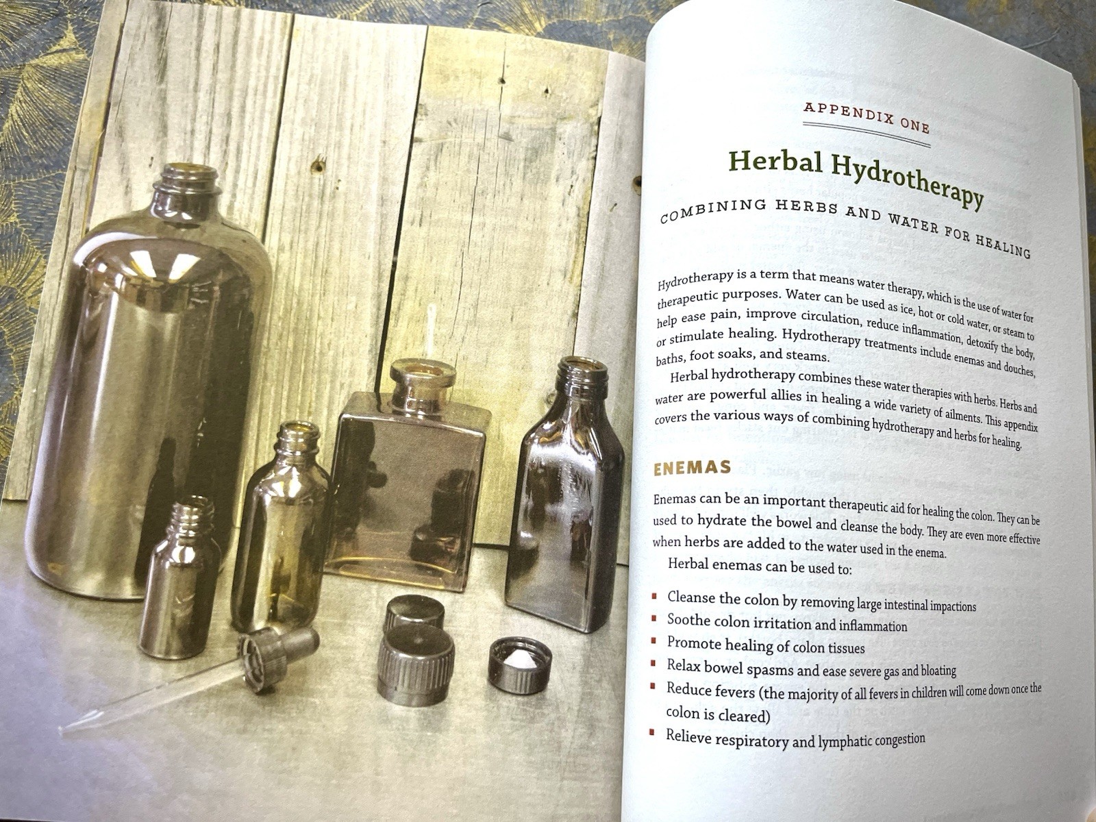 THE MODERN HERBAL DISPENSATORY A MEDICINE MAKING GUIDE EASLEY/HORNE BOTANICAL PB