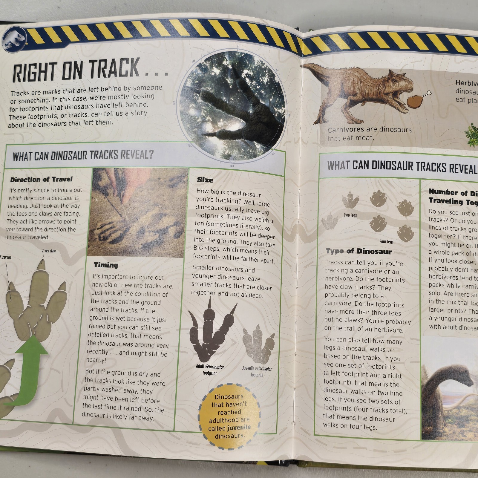 Scholastic Jurassic World Dinosaur Trainer HandBook Rare WORKS MAKES SOUNDS ROAR