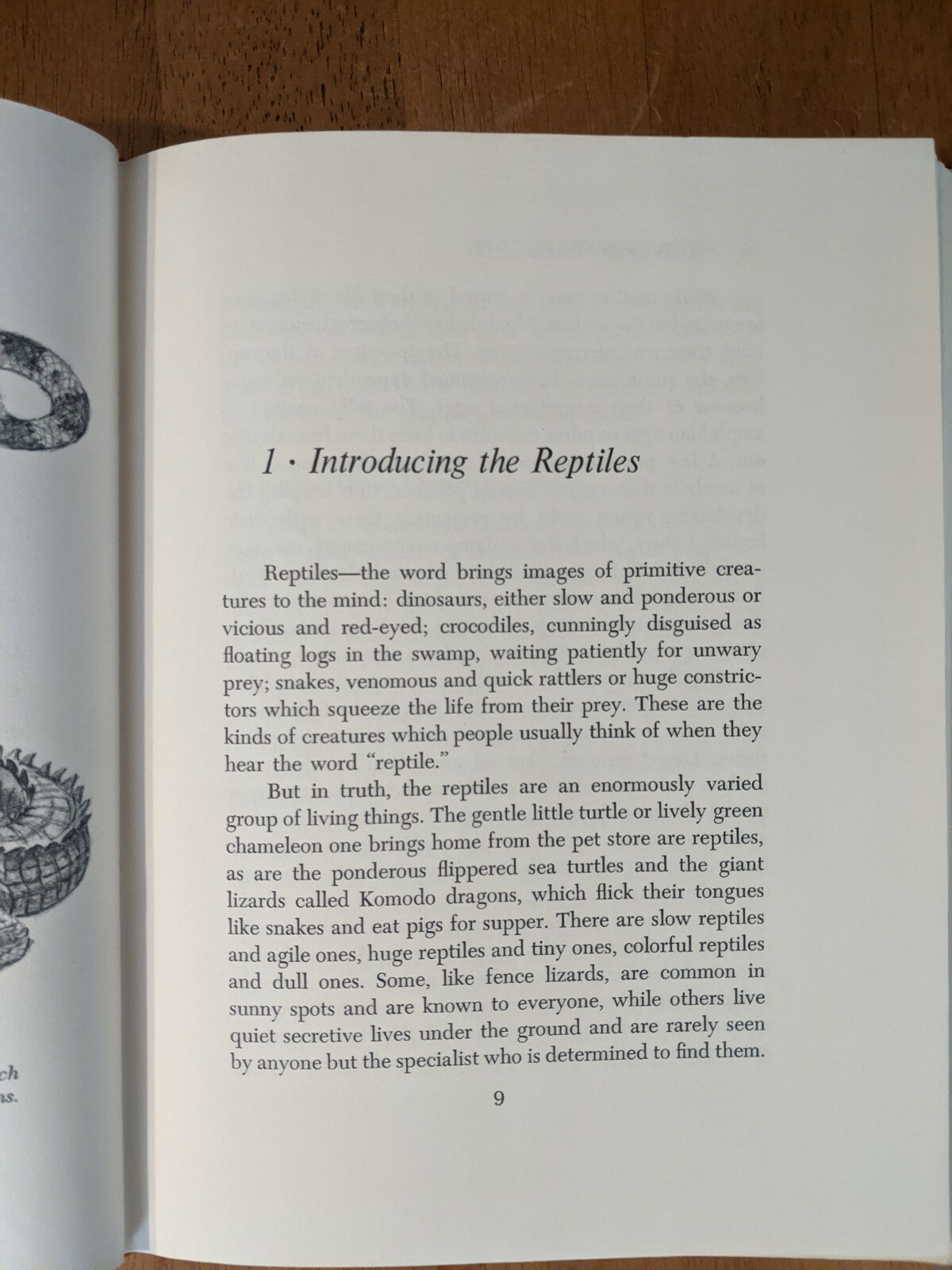 Reptiles and How They Reproduce HCDJ Dorothy Hinshaw Patent First Edition 1977