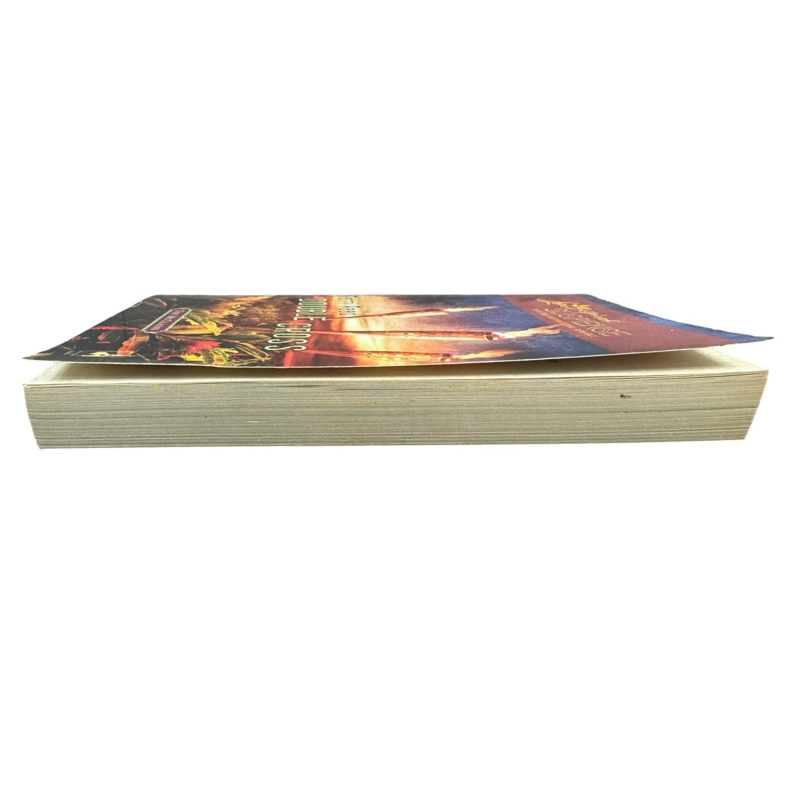 Double Cross by Terri Reed (Paperback)