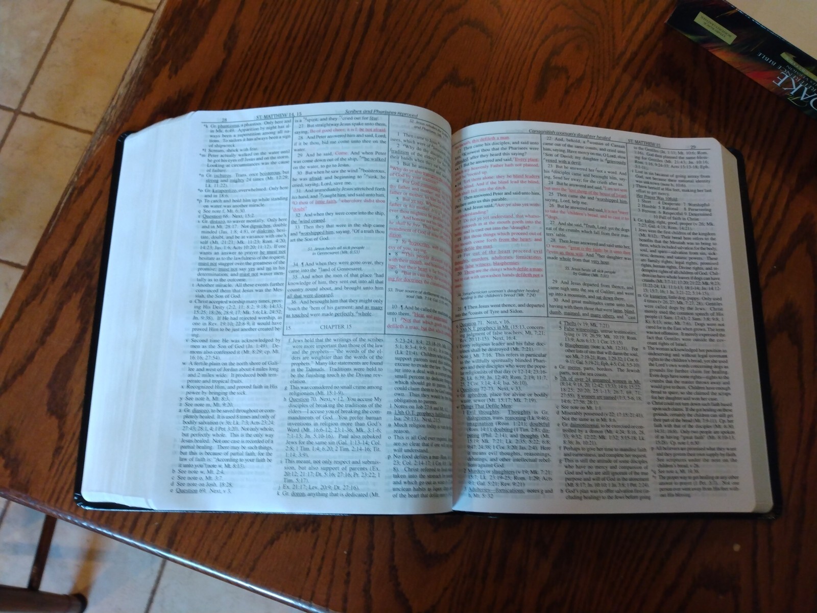 KJV Dake’s Annotated Reference Bible LARGE PRINT Black bonded Leather