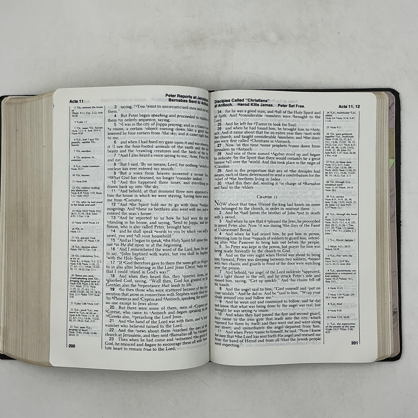 New American Standard Bible Reference Edition Lockman 1973 Morocco Leather